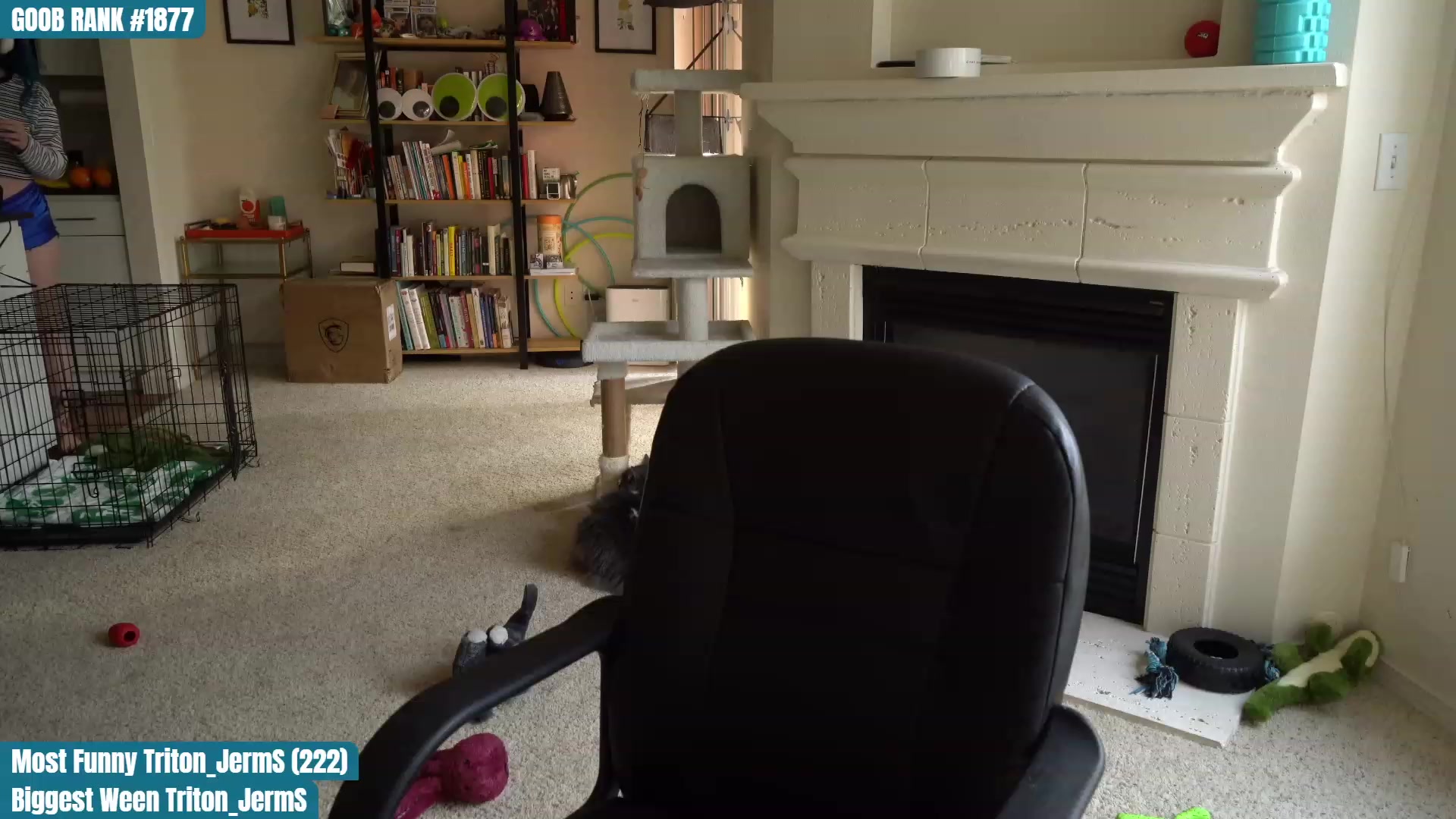 Gallery image thumbnail from OhGnocchiDont's myfreecams stream on, 03/18/2023, 24:01 image 8 of 20