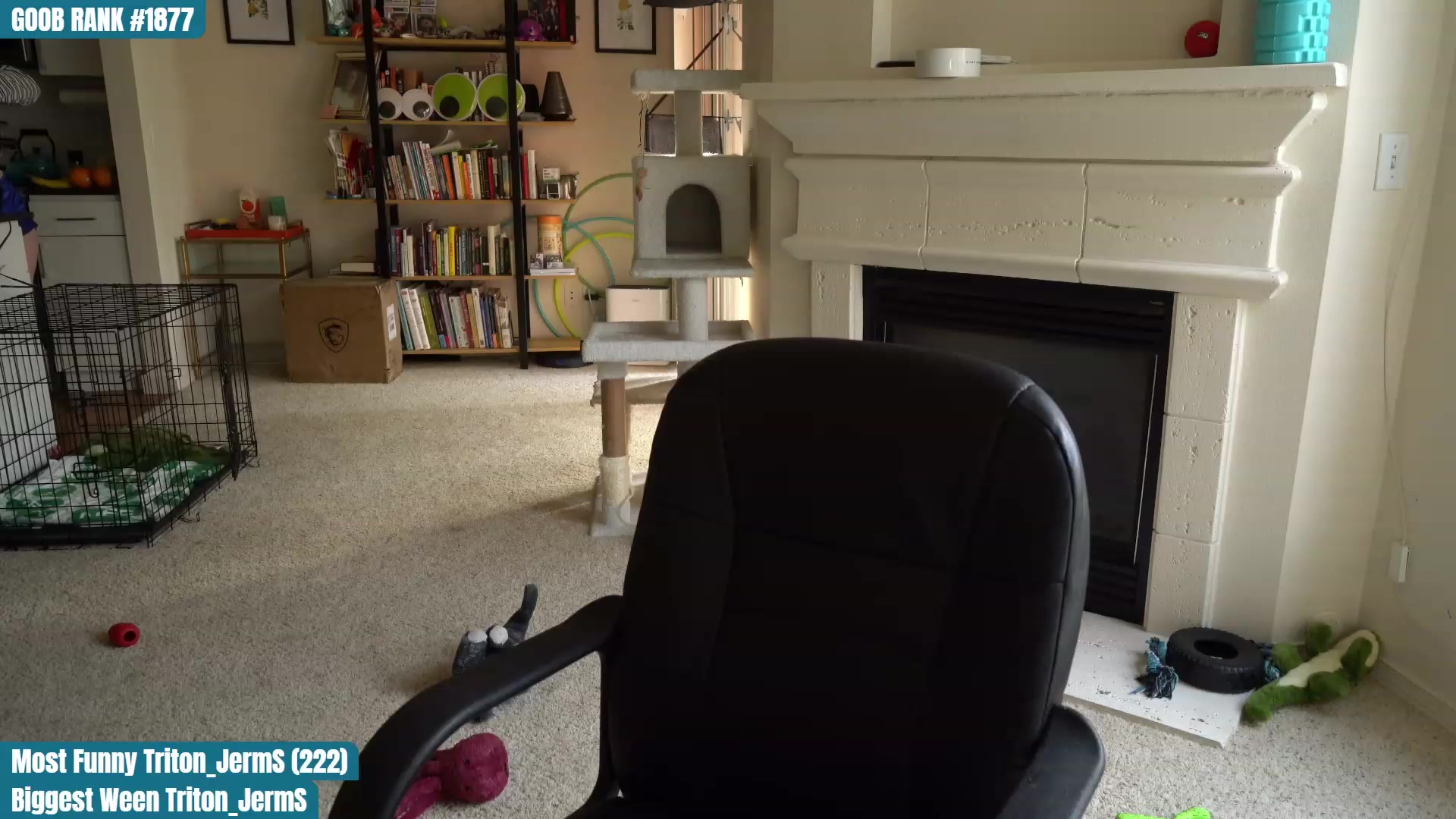 Gallery image thumbnail from OhGnocchiDont's myfreecams stream on, 03/18/2023, 24:01 image 9 of 20
