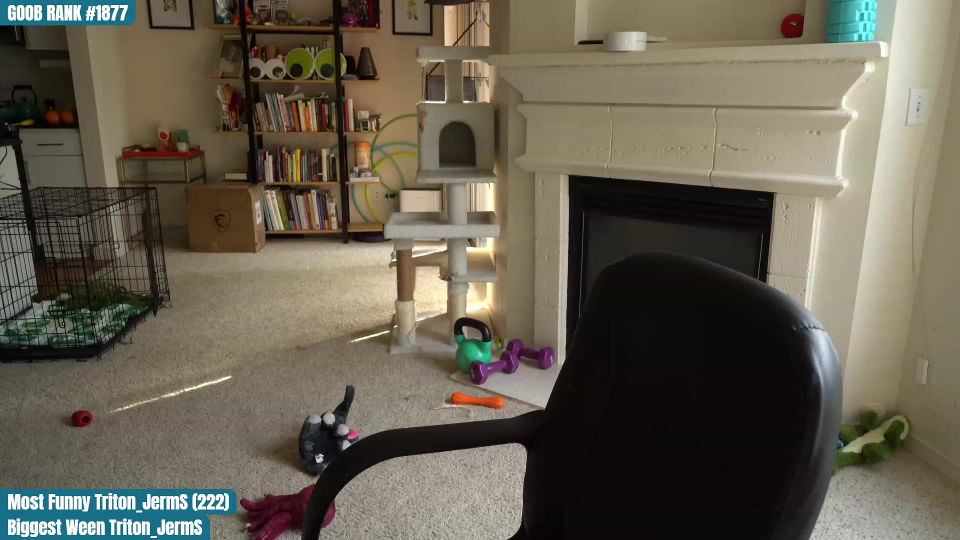 Gallery image thumbnail from OhGnocchiDont's myfreecams stream on, 03/18/2023, 24:01 image 12 of 20