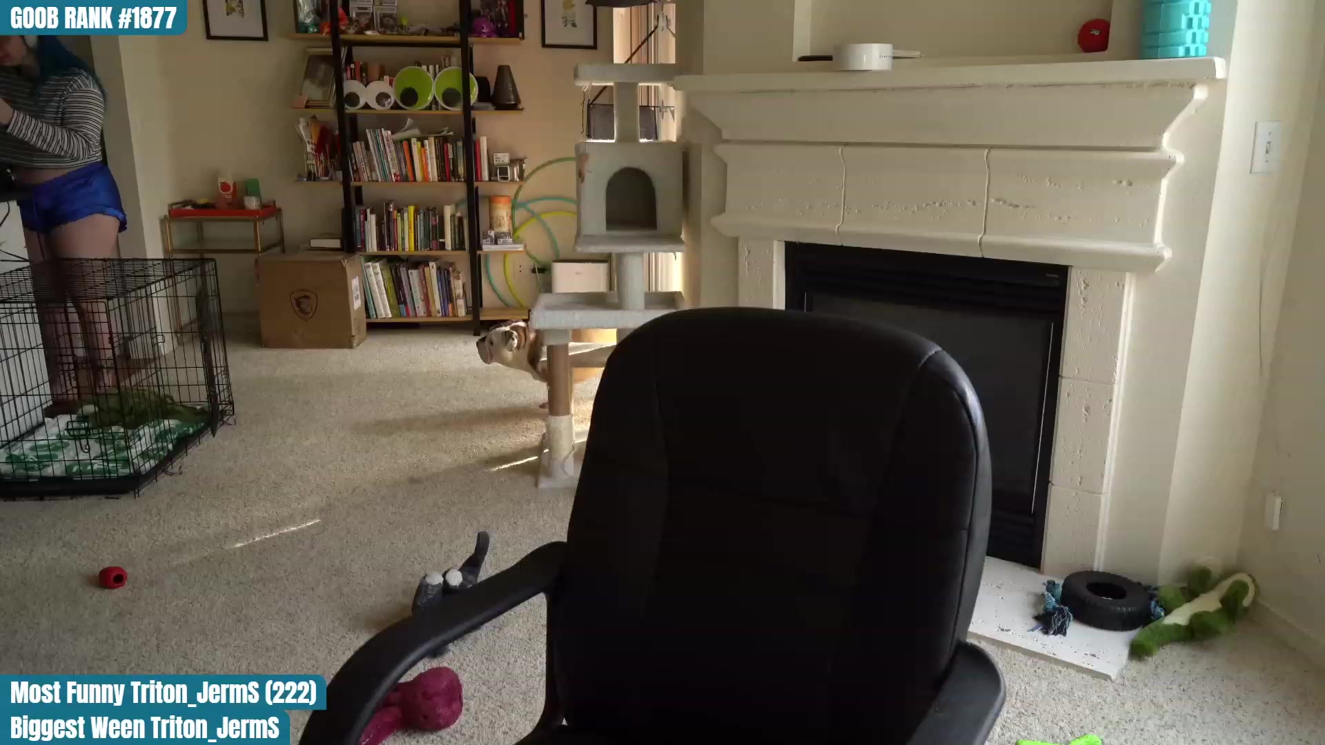 Gallery image thumbnail from OhGnocchiDont's myfreecams stream on, 03/18/2023, 24:01 image 11 of 20