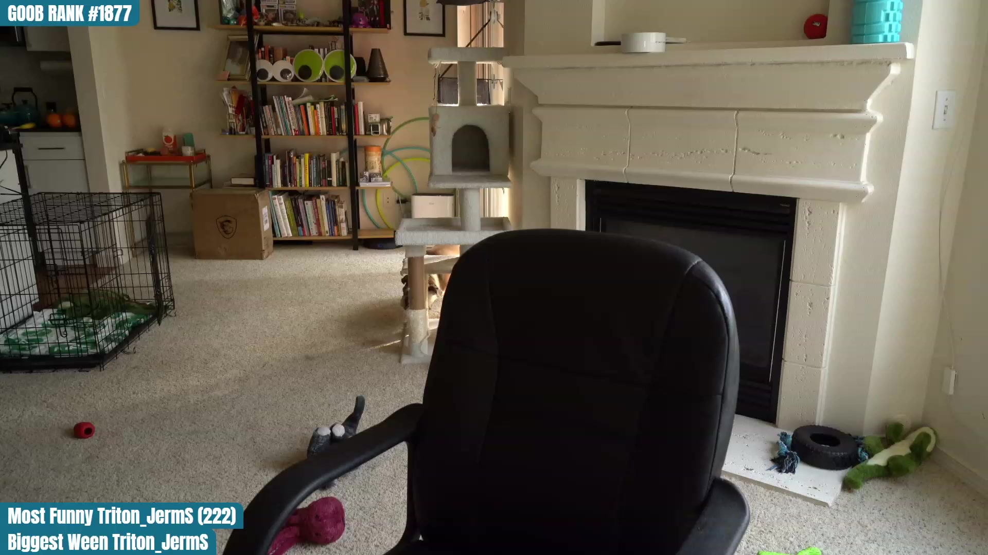 Gallery image thumbnail from OhGnocchiDont's myfreecams stream on, 03/18/2023, 24:01 image 10 of 20