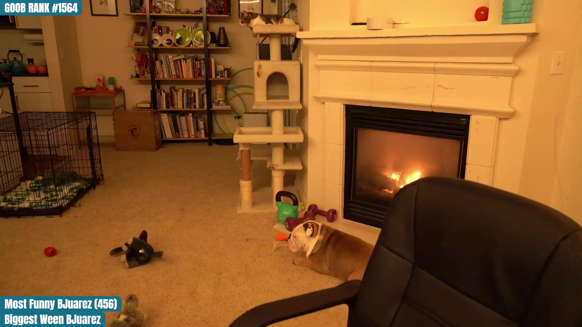 Gallery image thumbnail from OhGnocchiDont's myfreecams stream on, 03/18/2023, 03:38 image 18 of 20