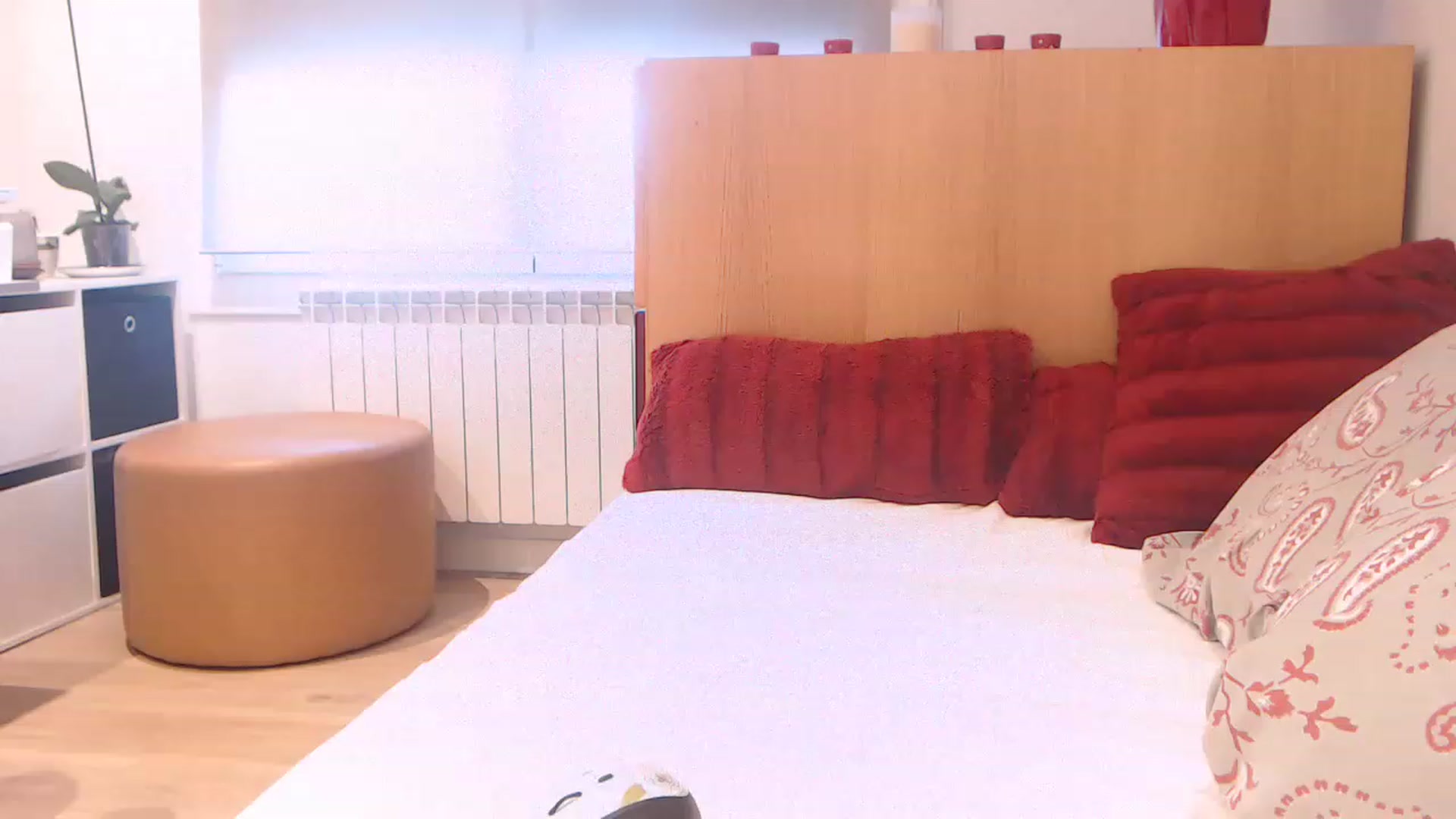 Gallery image thumbnail from OhMariiam's myfreecams stream on, 12/23/2022, 10:40 image 8 of 20