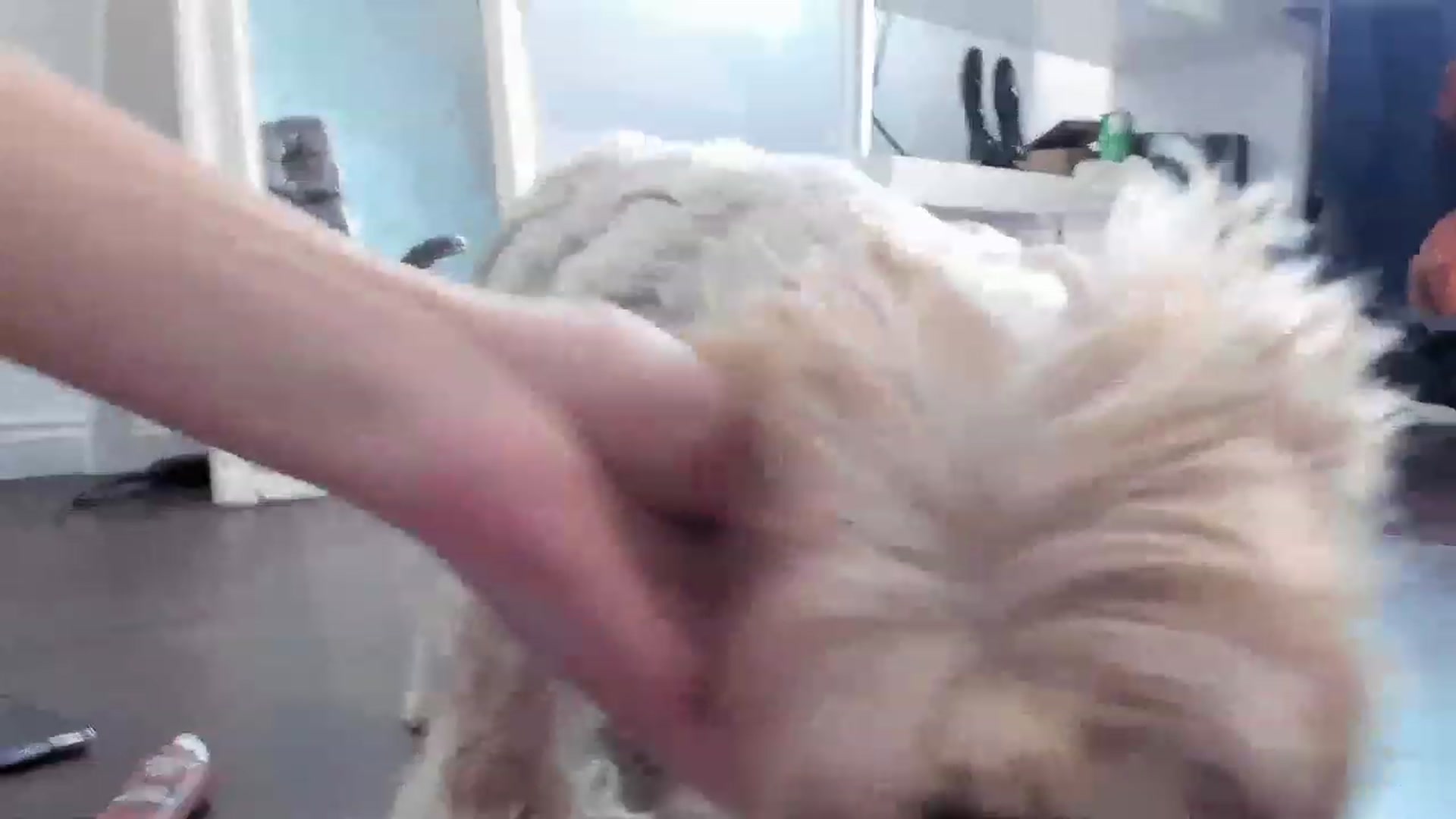Gallery image thumbnail from OhMyMiaa's myfreecams stream on, 02/06/2023, 10:24 image 17 of 20