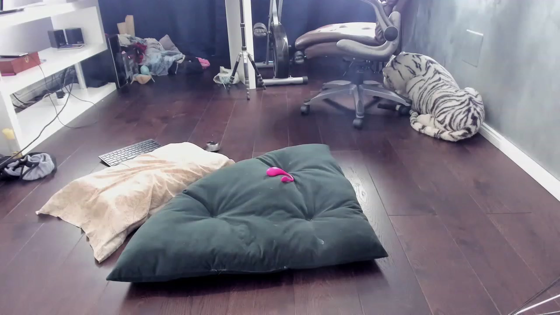 Gallery image thumbnail from OhMyMiaa's myfreecams stream on, 05/22/2023, 07:19 image 15 of 20
