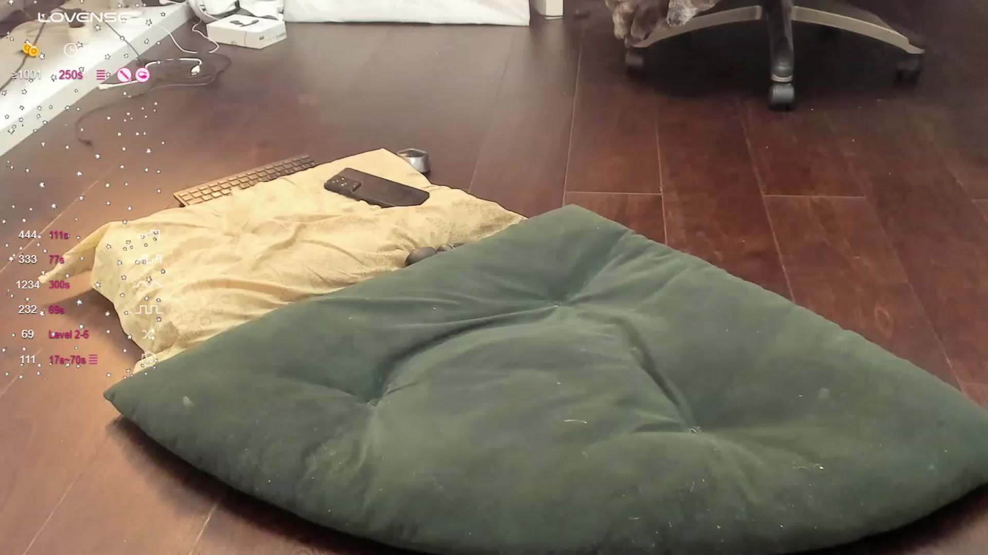 Gallery image thumbnail from OhMyMiaa's myfreecams stream on, 10/22/2023, 08:26 image 16 of 20