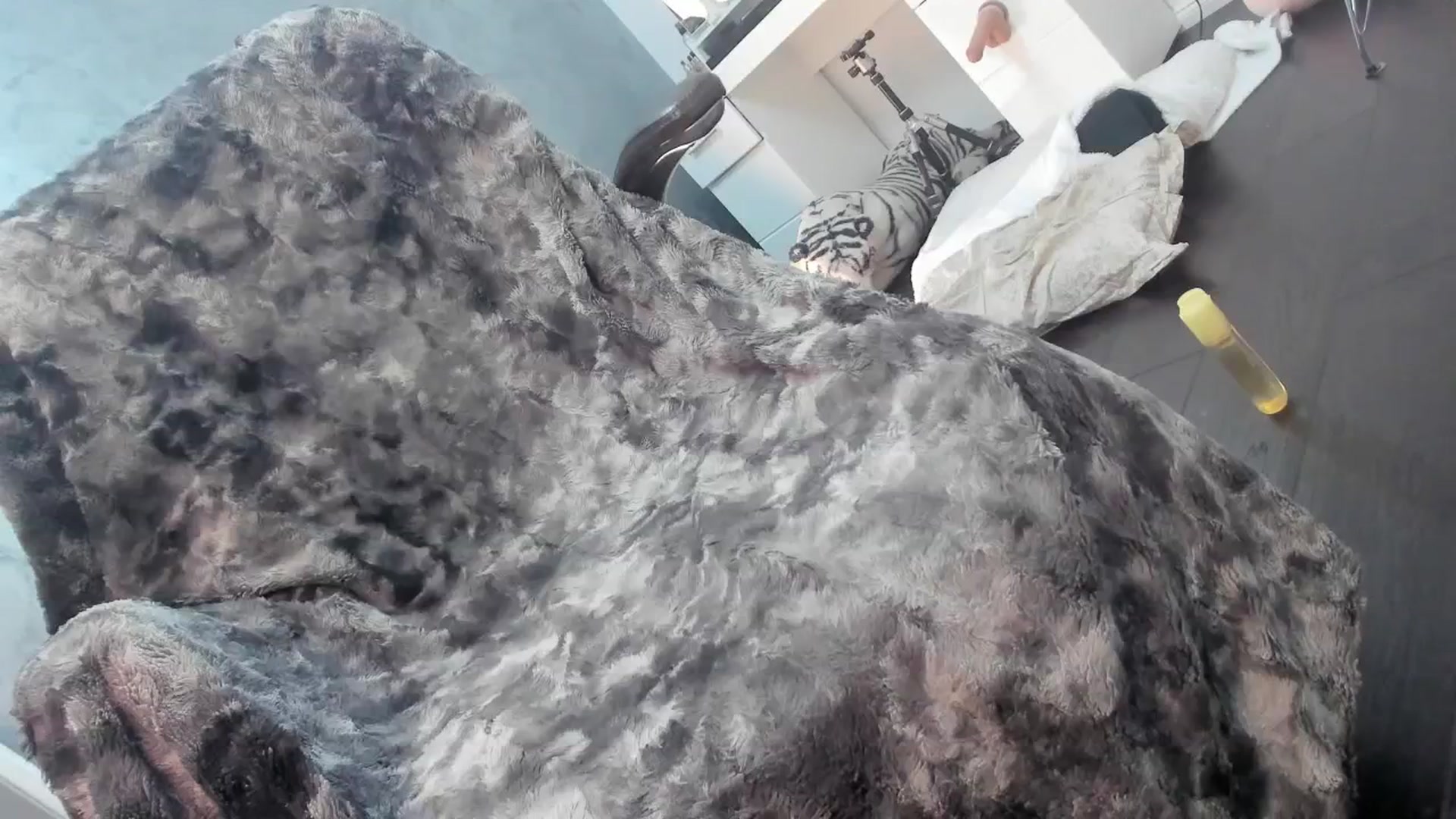 Gallery image thumbnail from OhMyMiaa's myfreecams stream on, 05/23/2024, 09:05 image 16 of 20