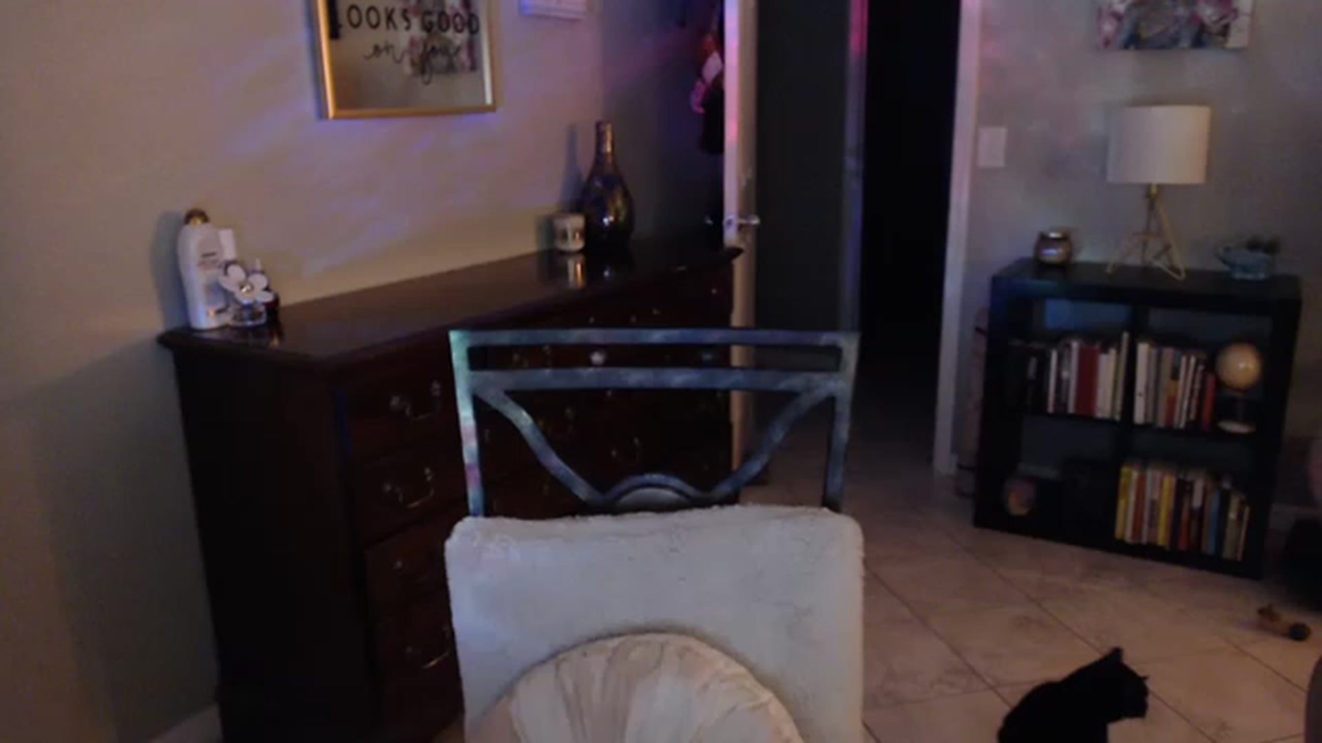 Gallery image thumbnail from OhYesCeleste's myfreecams stream on, 05/26/2023, 08:59 image 16 of 20