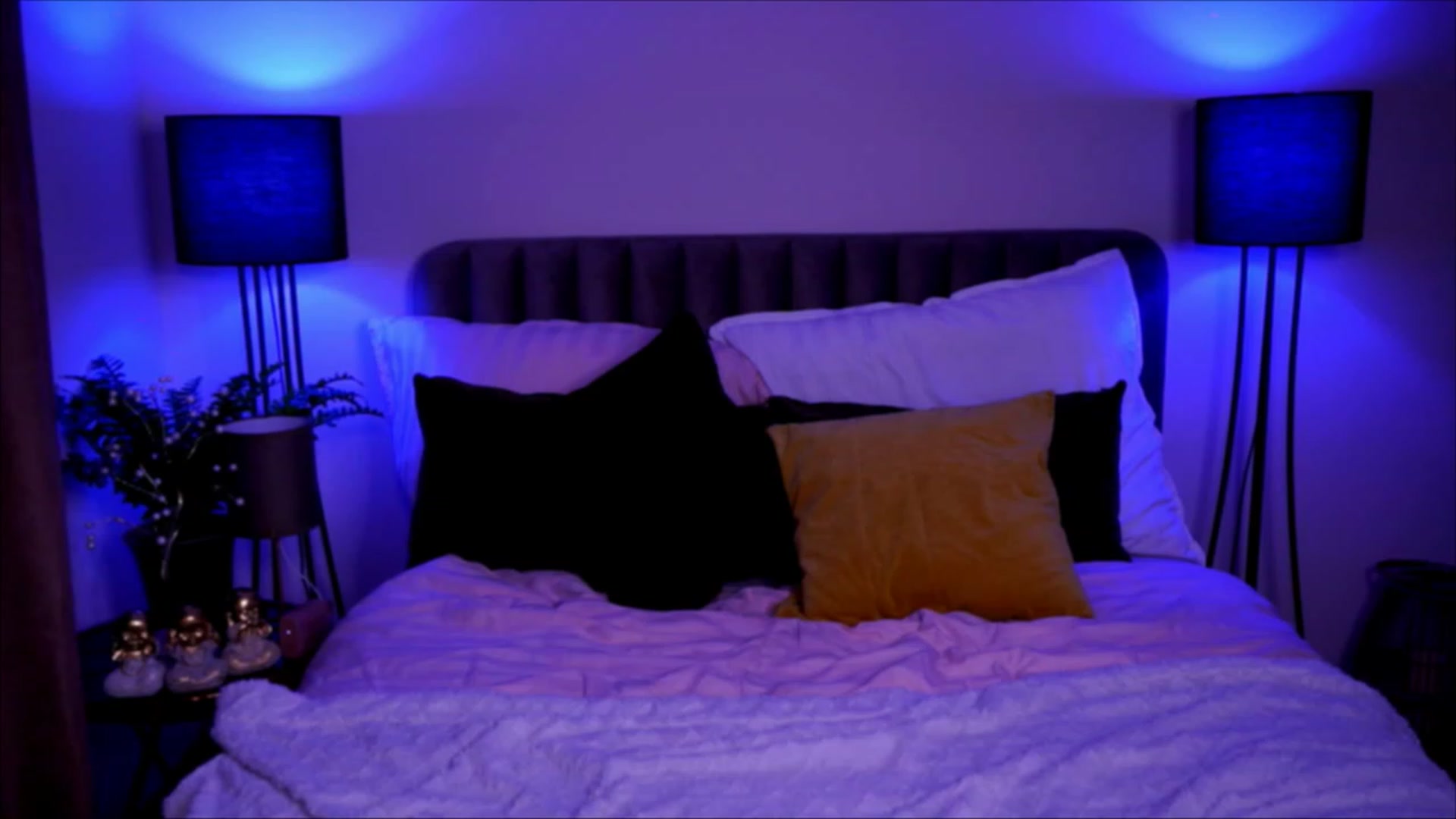 Gallery image thumbnail from Oh_Honey_Baby's myfreecams stream on, 03/04/2023, 13:48 image 20 of 20
