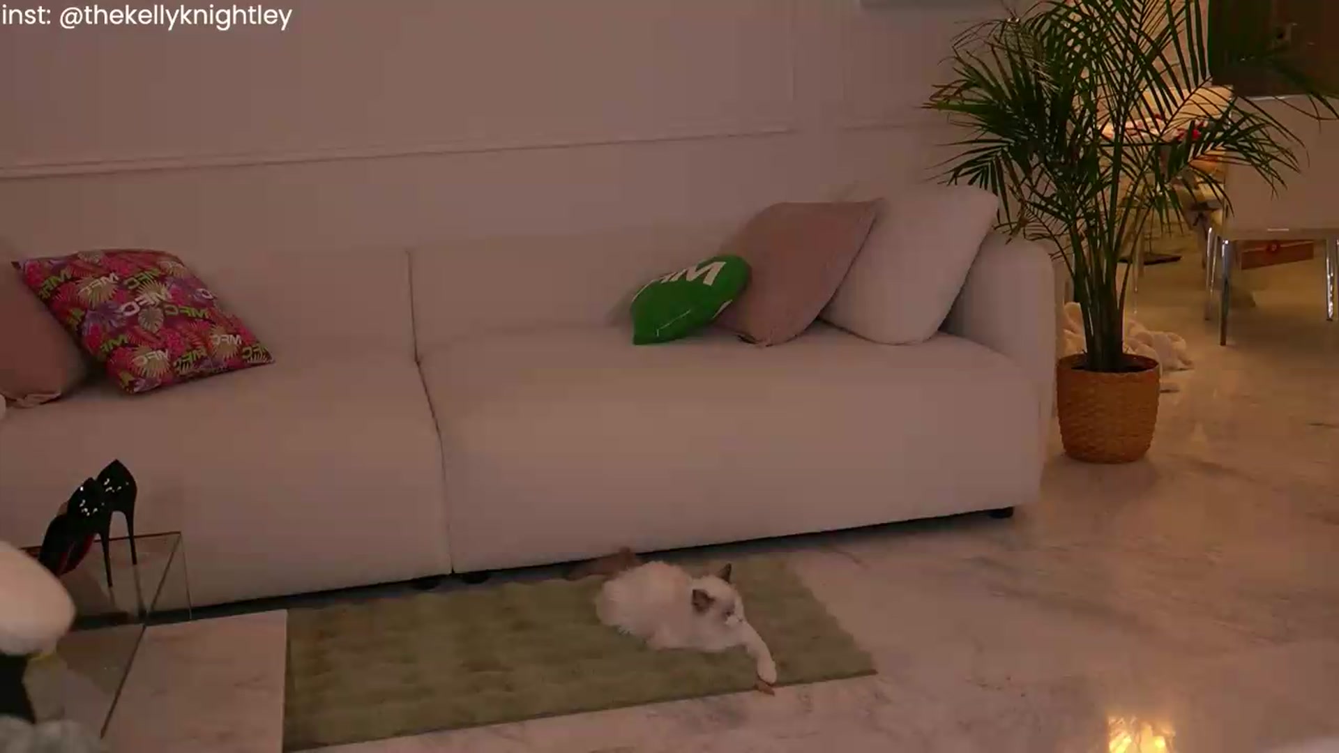 Gallery image thumbnail from Ohbabykelly's myfreecams stream on, 07/03/2026, 02:18 image 12 of 20