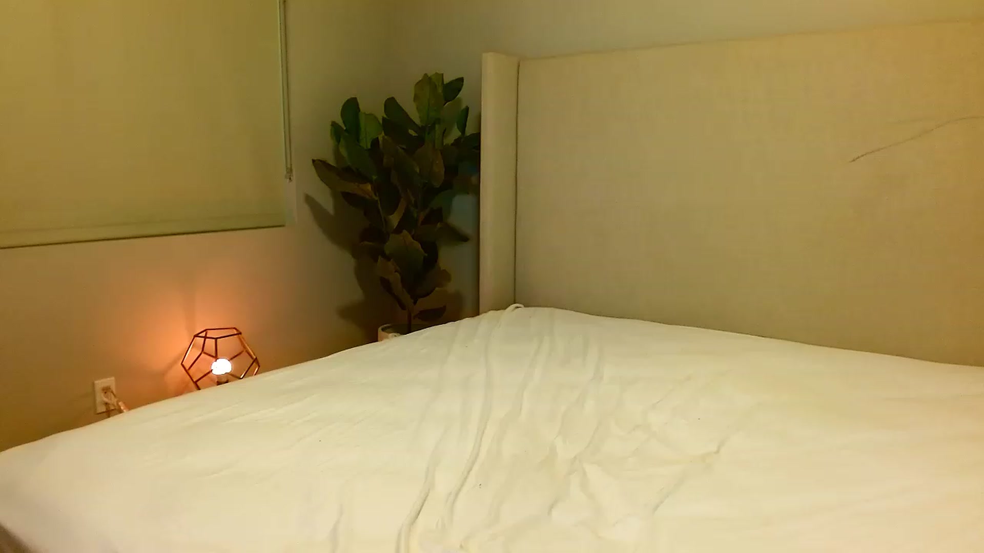 Gallery image thumbnail from Ohbnks's myfreecams stream on, 03/08/2023, 03:53 image 20 of 20