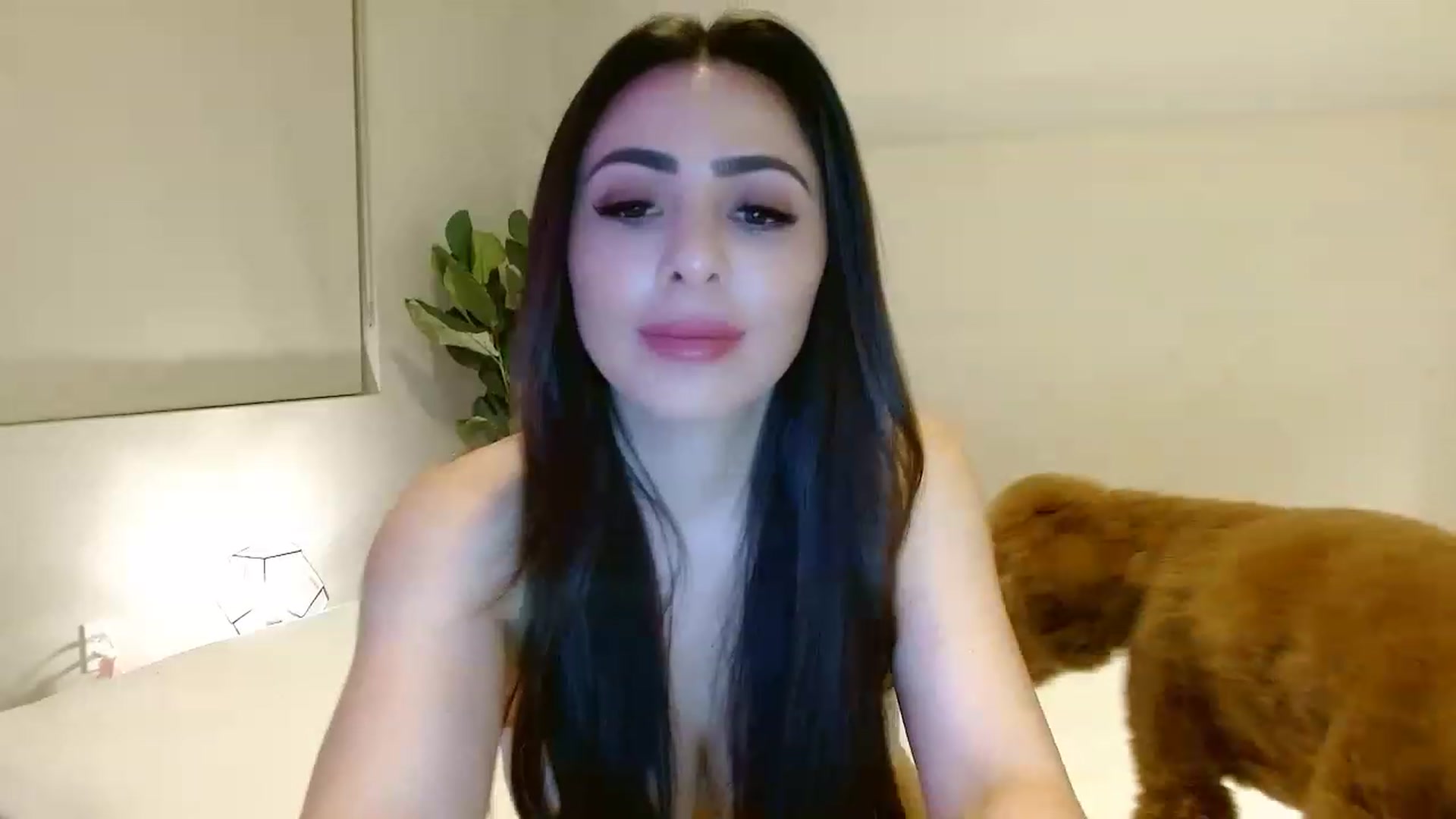 Gallery image thumbnail from Ohbnks's myfreecams stream on, 03/19/2023, 06:42 image 9 of 20