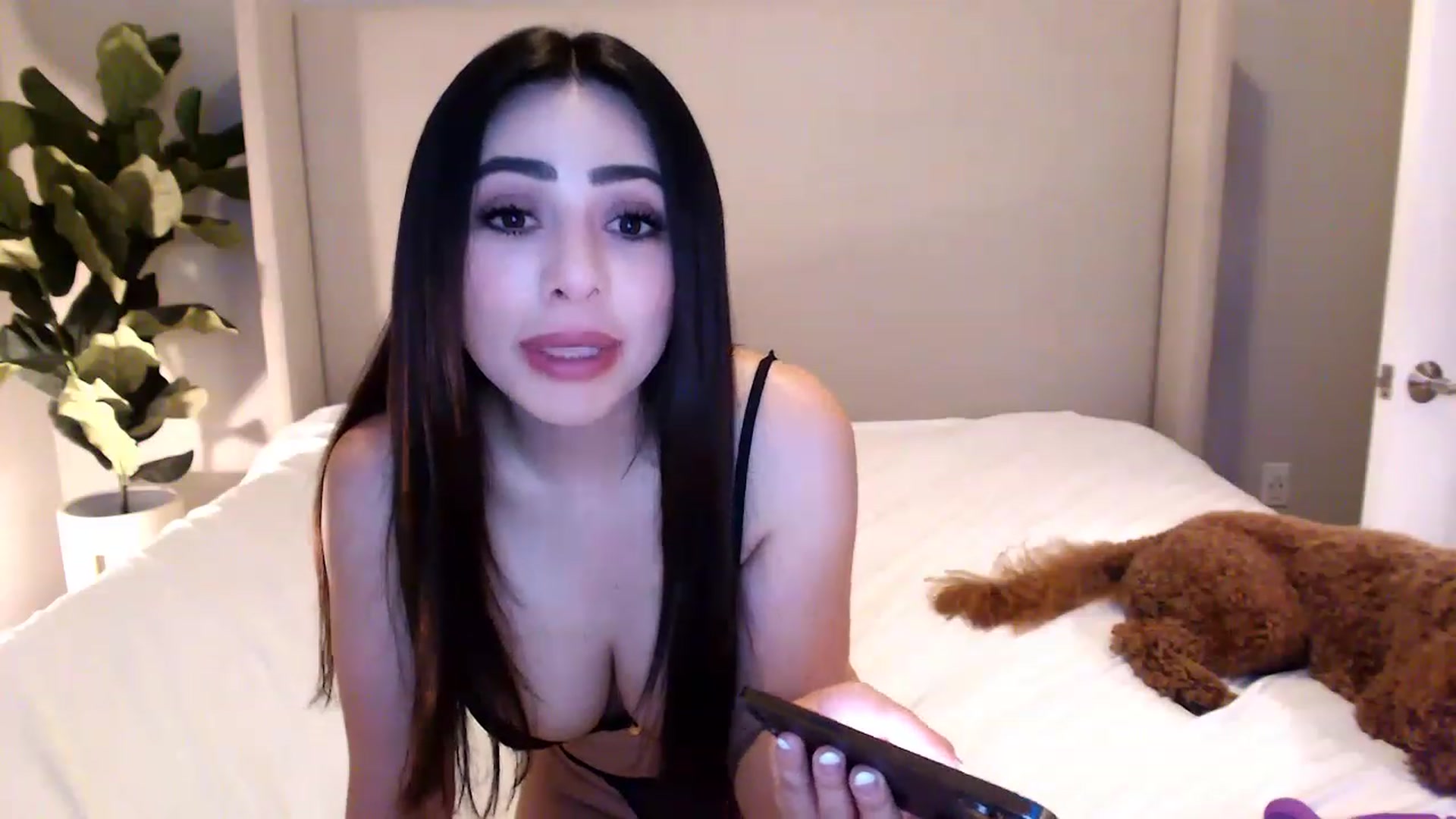 Gallery image thumbnail from Ohbnks's myfreecams stream on, 04/08/2023, 07:02 image 18 of 20