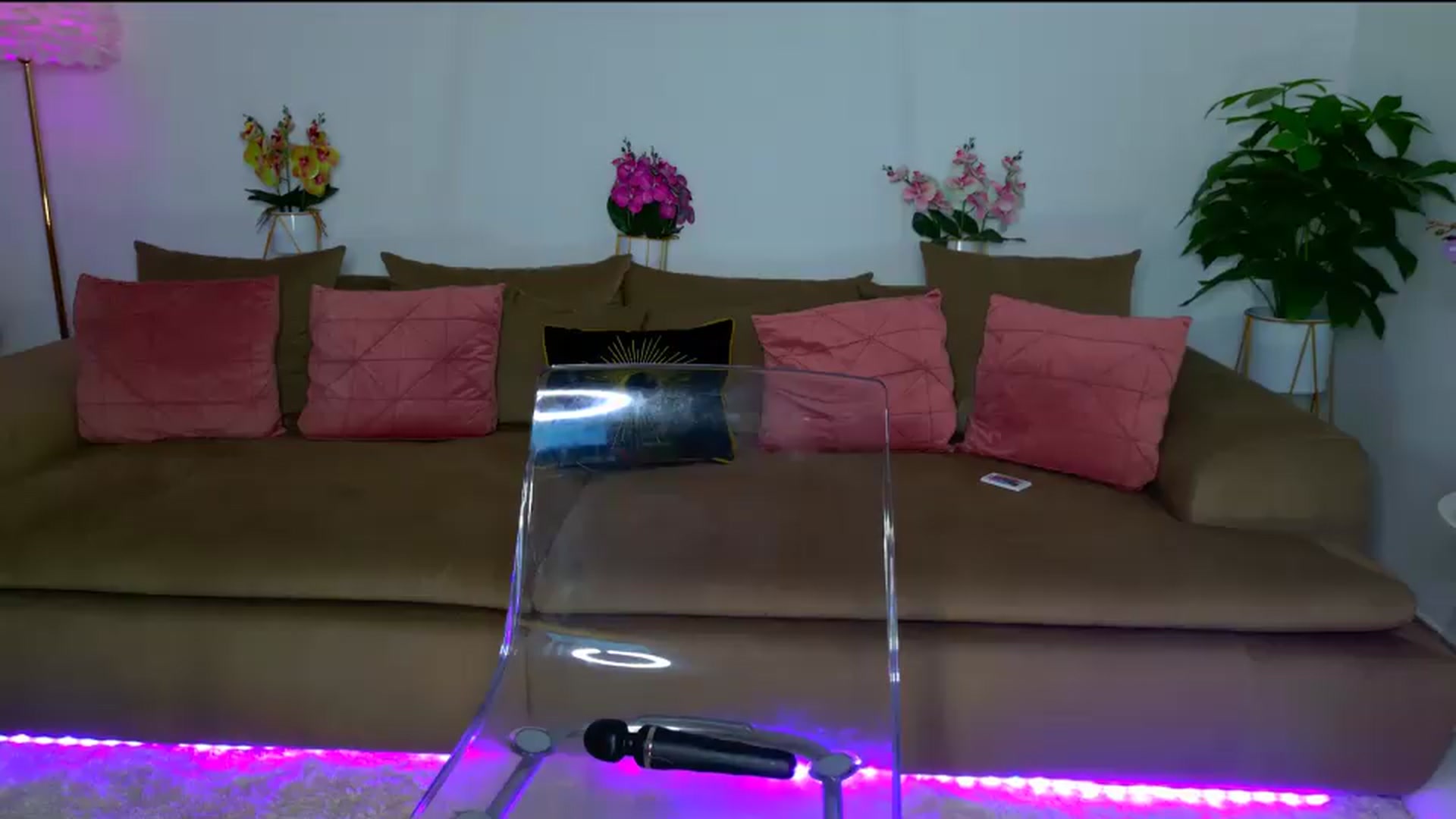 Gallery image thumbnail from OhhLuan's myfreecams stream on, 07/29/2026, 13:58 image 13 of 20