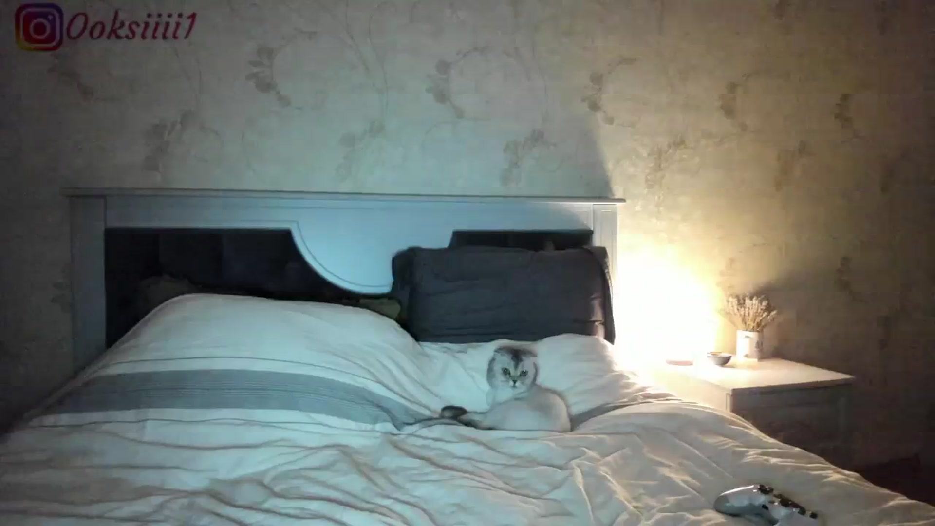 Gallery image thumbnail from Oksanafedorov's myfreecams stream on, 04/28/2024, 19:57 image 7 of 20