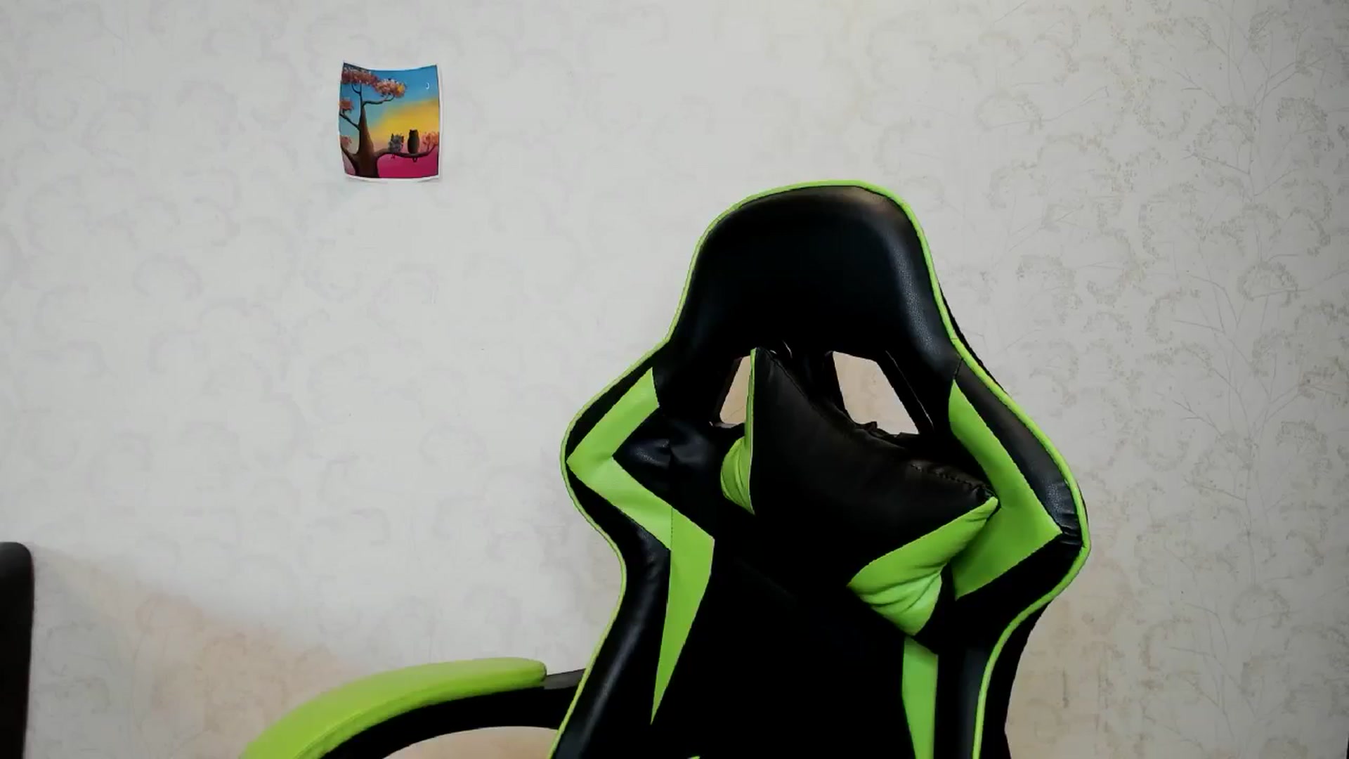Gallery image thumbnail from Oladushek18's myfreecams stream on, 08/13/2024, 13:42 image 16 of 20