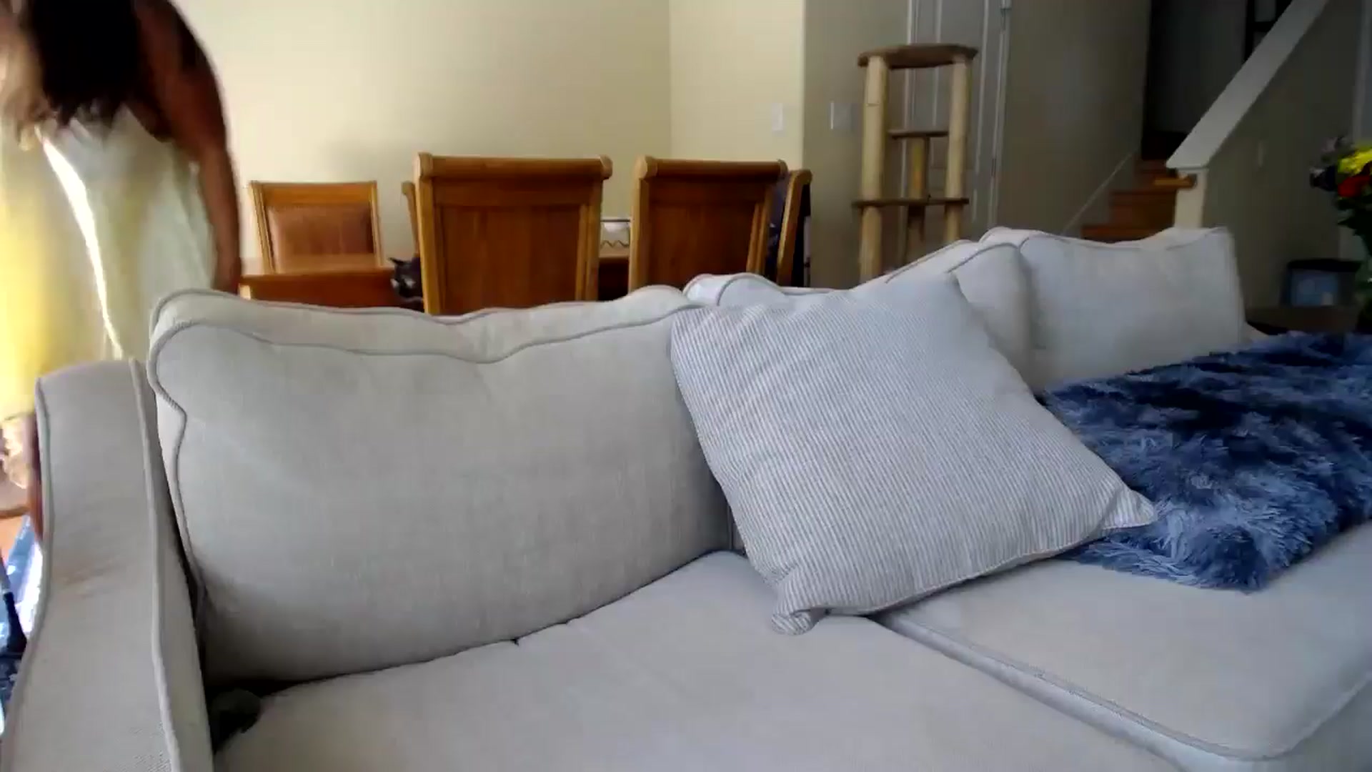 Gallery image thumbnail from OldFatHawaiin's myfreecams stream on, 07/28/2025, 19:24 image 1 of 20