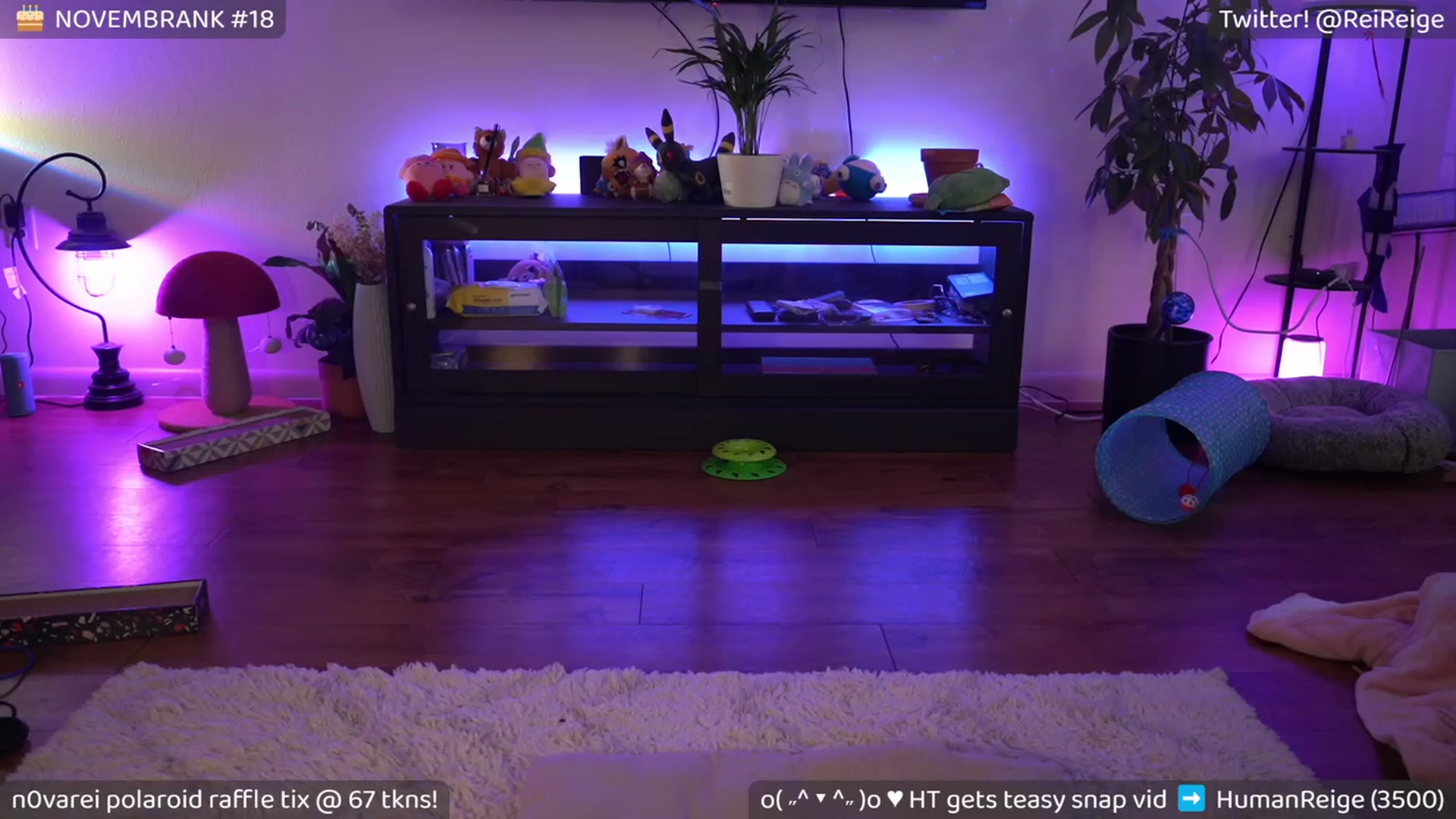 Gallery image thumbnail from Oldge's myfreecams stream on, 11/27/2022, 11:41 image 13 of 20