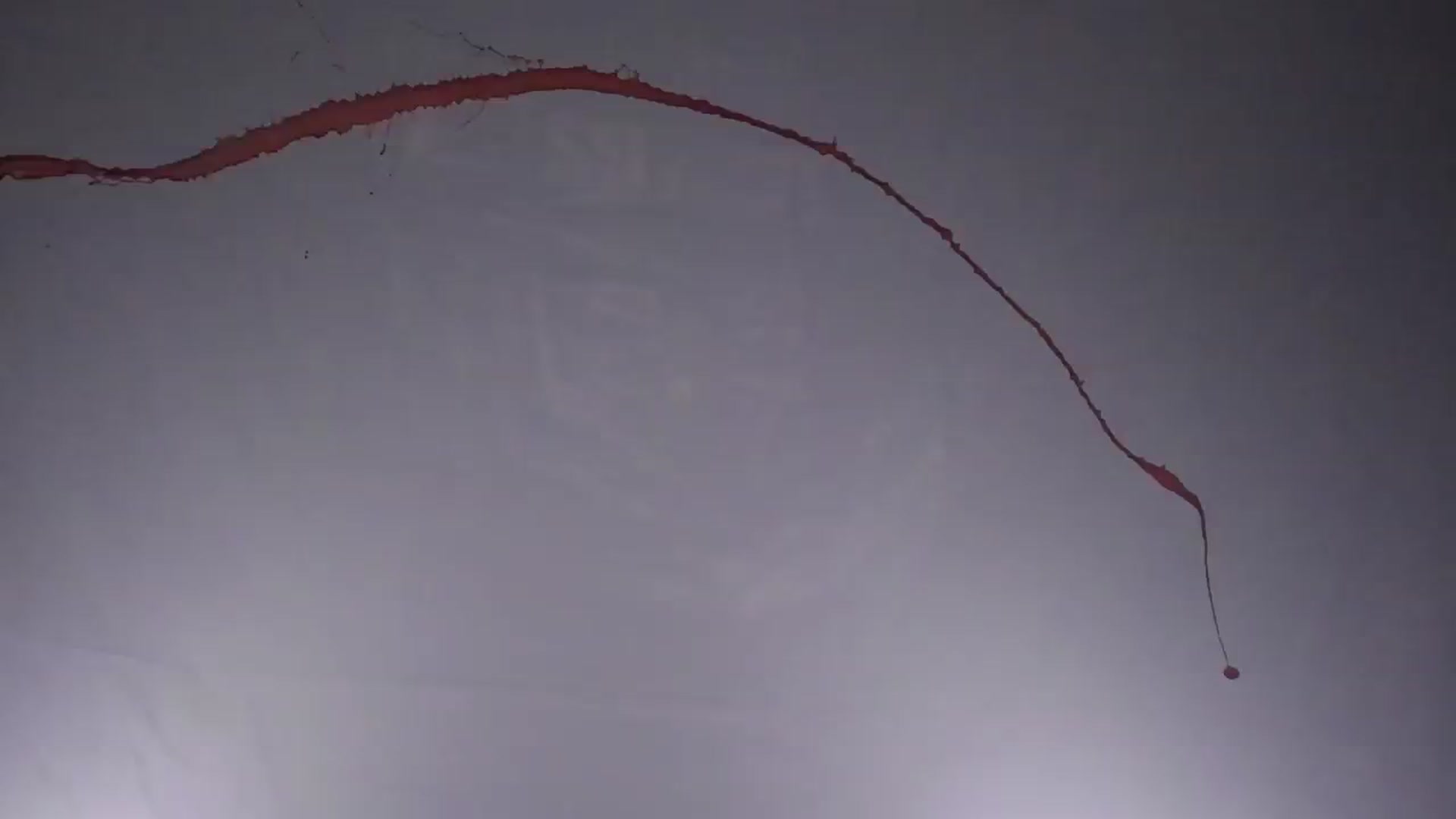 Gallery image thumbnail from Olivia's myfreecams stream on, 05/21/2024, 04:43 image 7 of 20