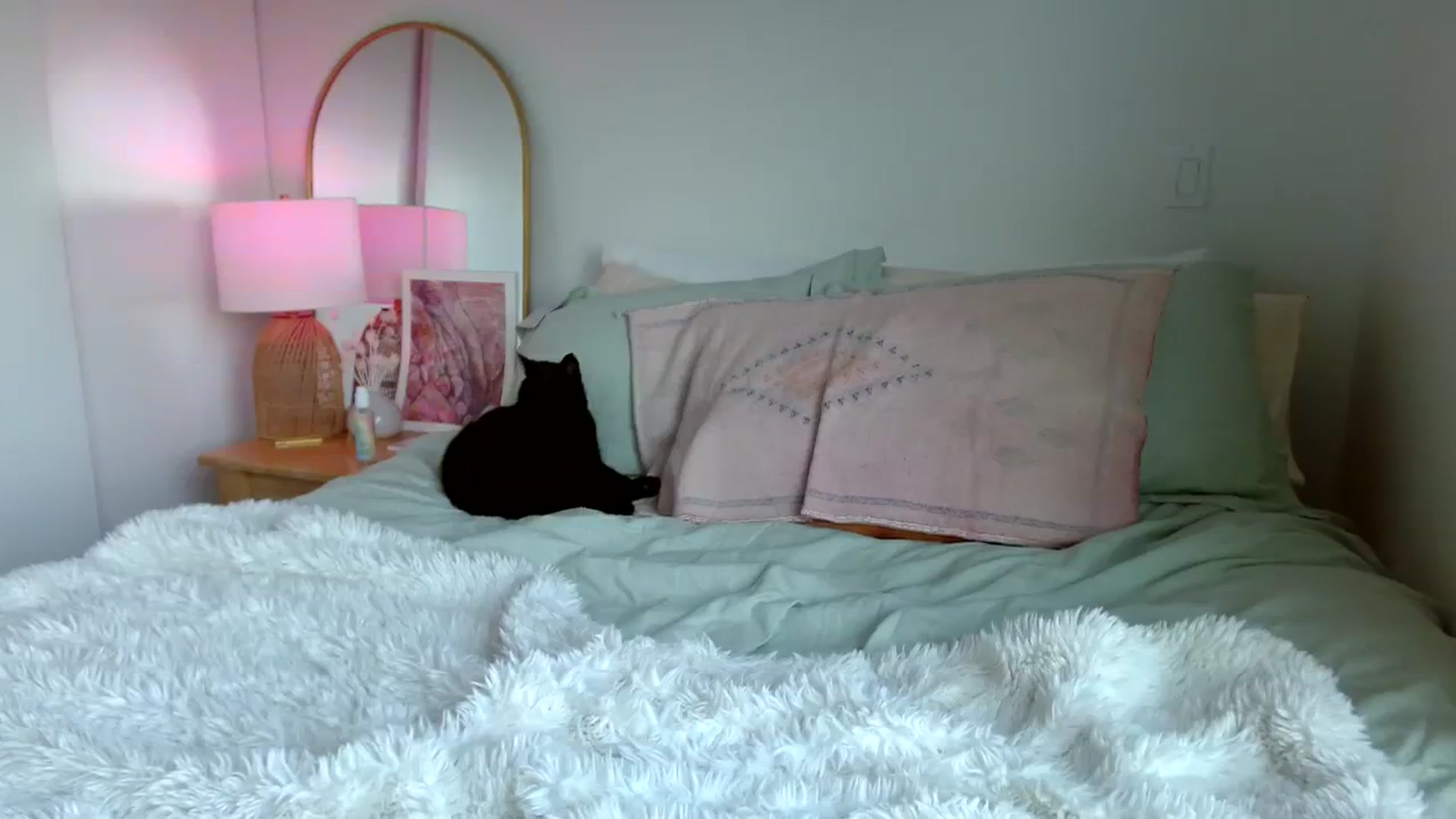 Gallery image thumbnail from OliviaQuinnn's myfreecams stream on, 08/22/2023, 02:25 image 7 of 20