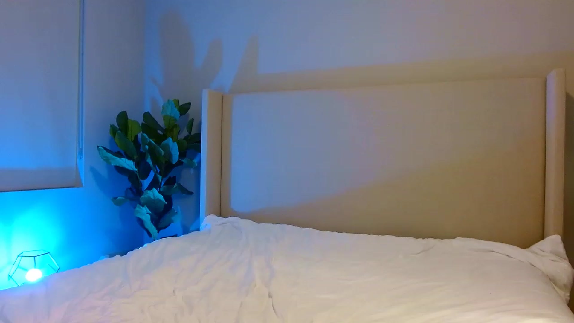 Gallery image thumbnail from Oliviabankss's myfreecams stream on, 02/08/2023, 02:37 image 19 of 20