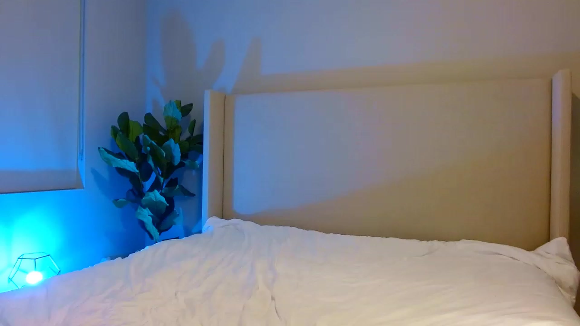 Gallery image thumbnail from Oliviabankss's myfreecams stream on, 02/08/2023, 02:37 image 18 of 20