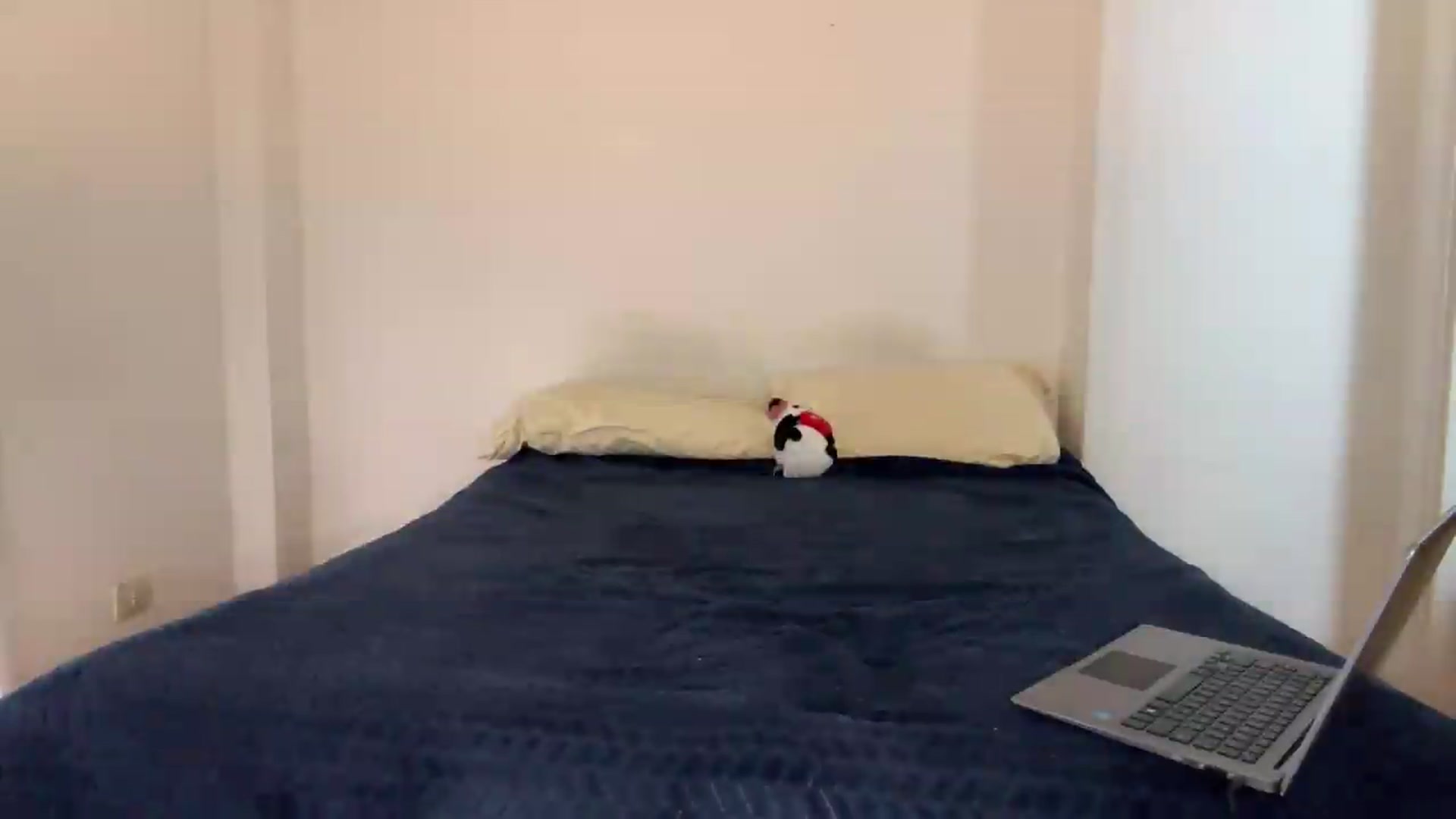 Gallery image thumbnail from Oliviayourdream's myfreecams stream on, 07/04/2026, 16:34 image 5 of 20