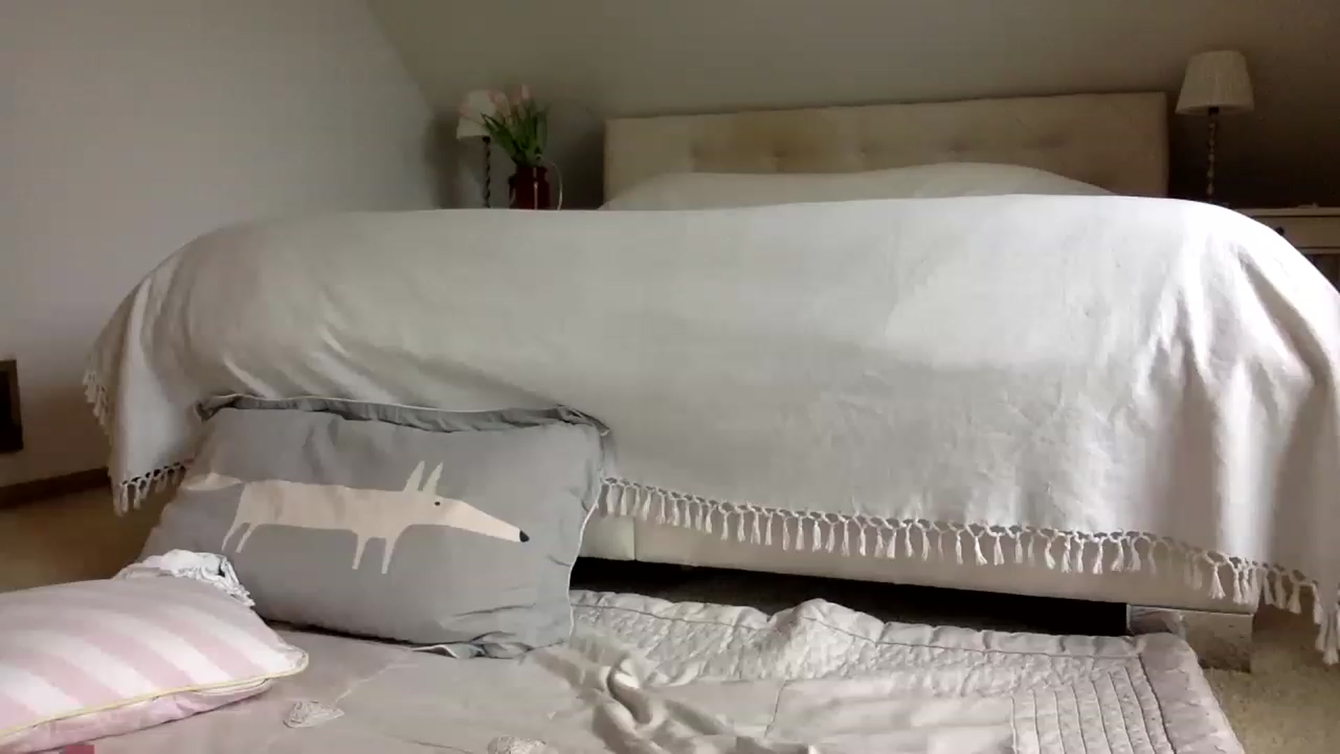 Gallery image thumbnail from OliviePaige's myfreecams stream on, 05/17/2023, 09:54 image 14 of 20