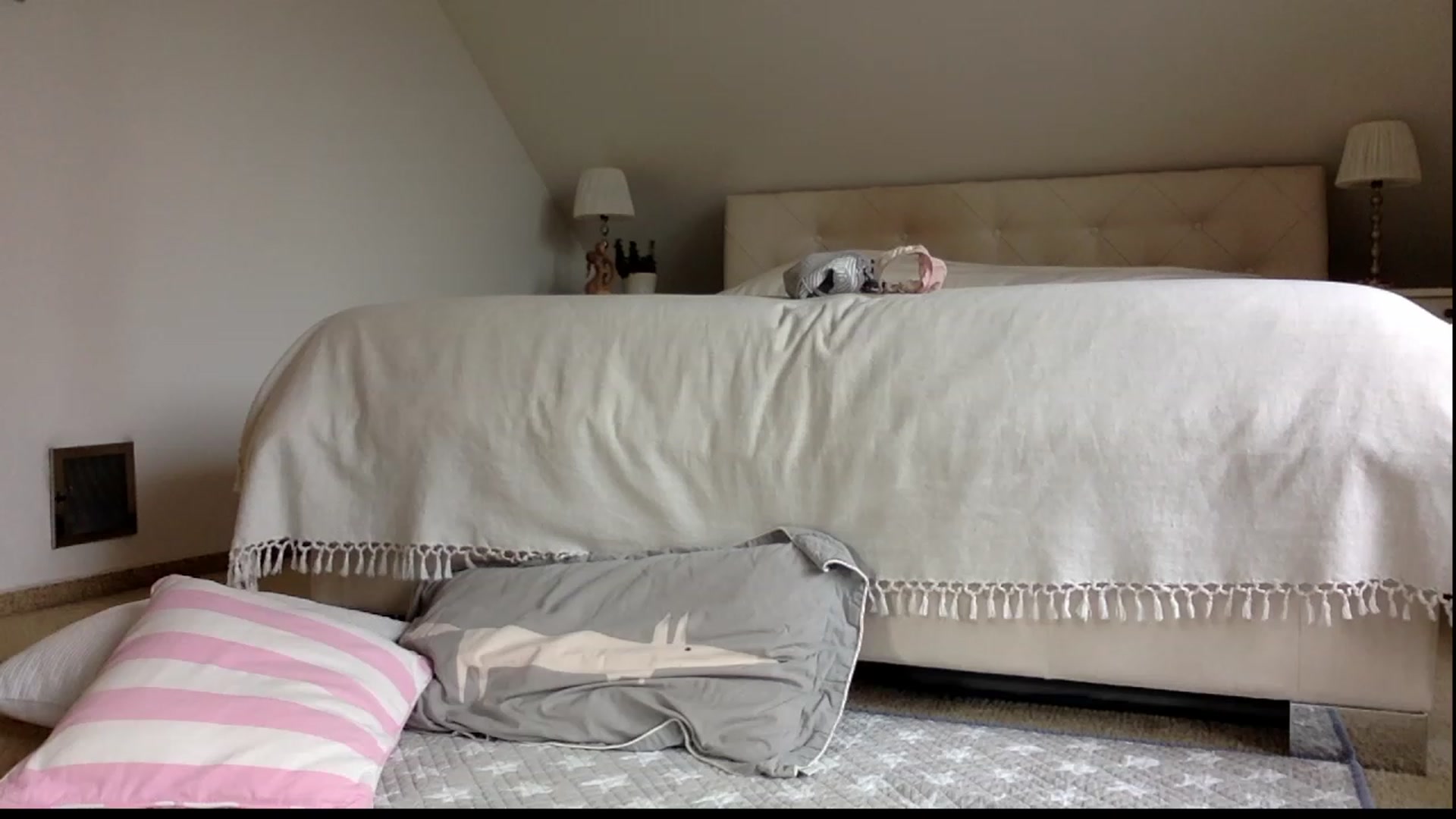Gallery image thumbnail from OliviePaige's myfreecams stream on, 11/12/2023, 10:30 image 19 of 20