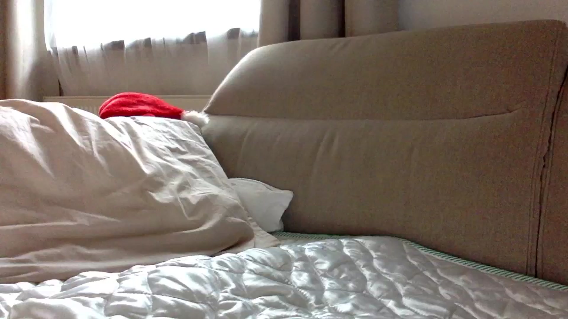 Gallery image thumbnail from OliviePaige's myfreecams stream on, 12/20/2024, 09:49 image 19 of 20