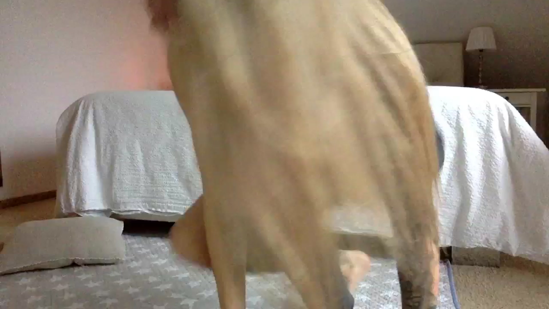 Gallery image thumbnail from OliviePaige's myfreecams stream on, 01/08/2025, 10:44 image 13 of 20