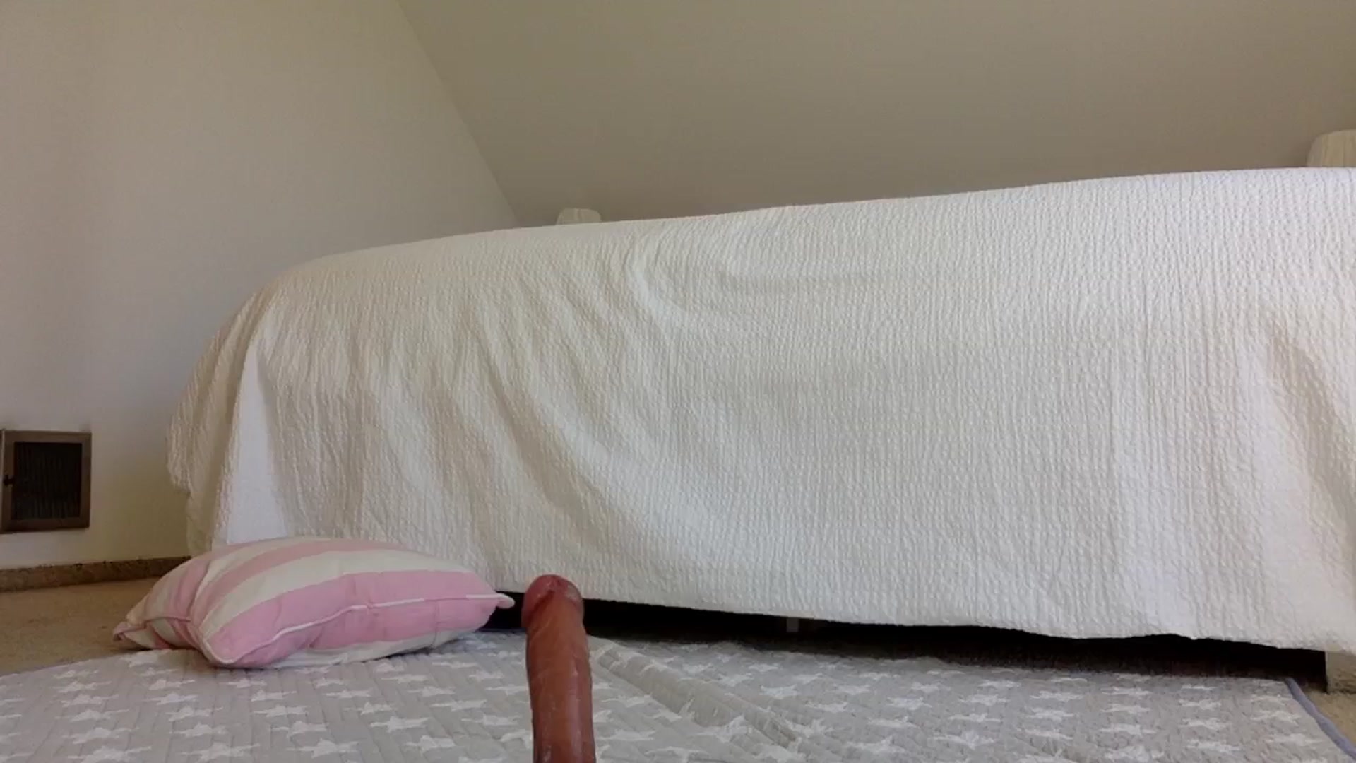 Gallery image thumbnail from OliviePaige's myfreecams stream on, 02/04/2025, 12:23 image 7 of 20