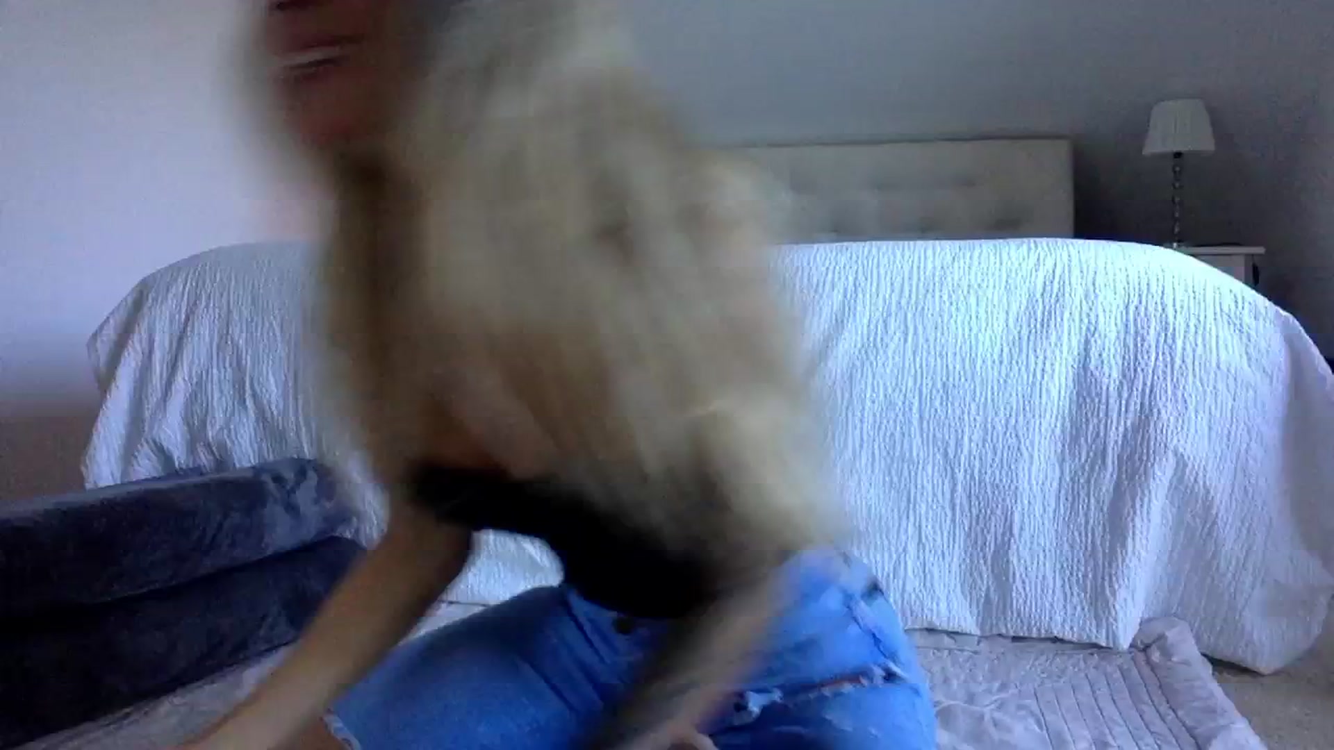 Gallery image thumbnail from OliviePaige's myfreecams stream on, 08/20/2025, 09:23 image 3 of 20