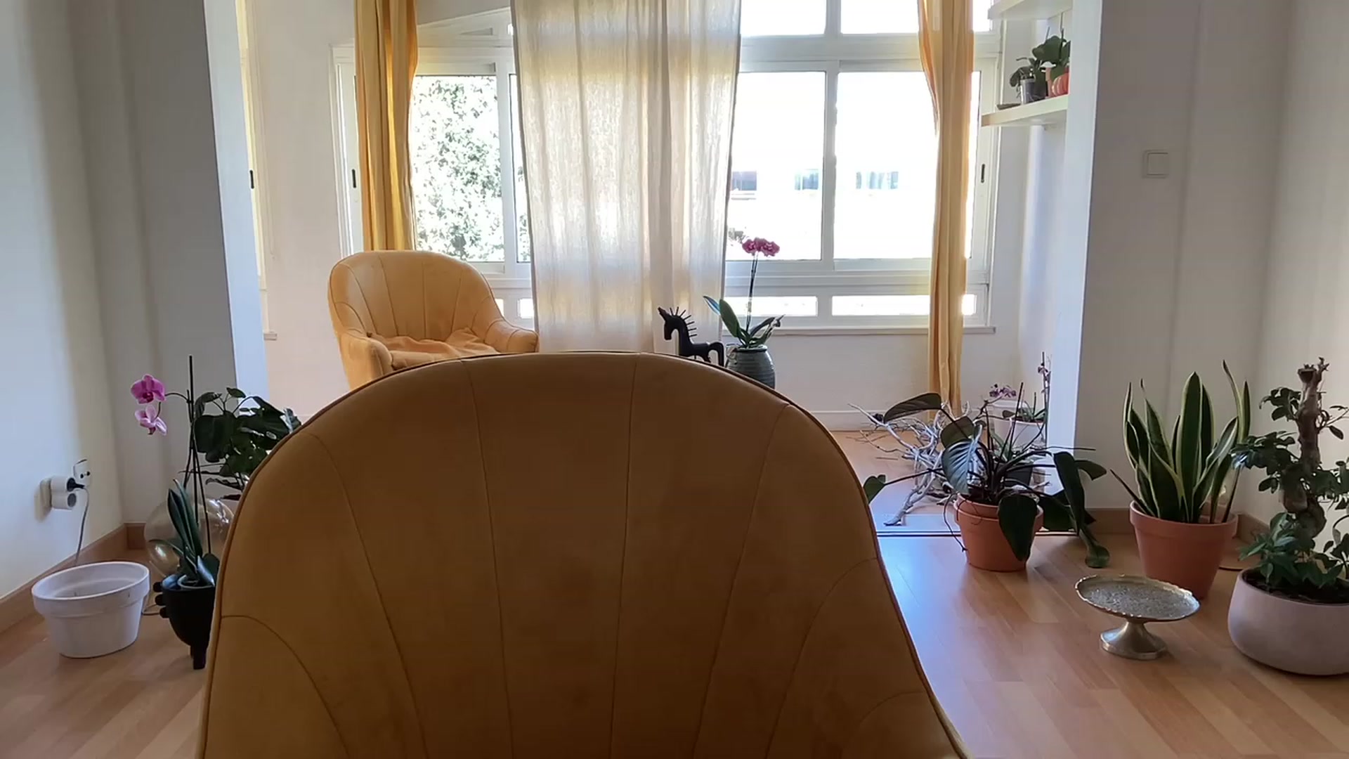 Gallery image thumbnail from Olympia_'s myfreecams stream on, 04/15/2023, 11:58 image 3 of 20
