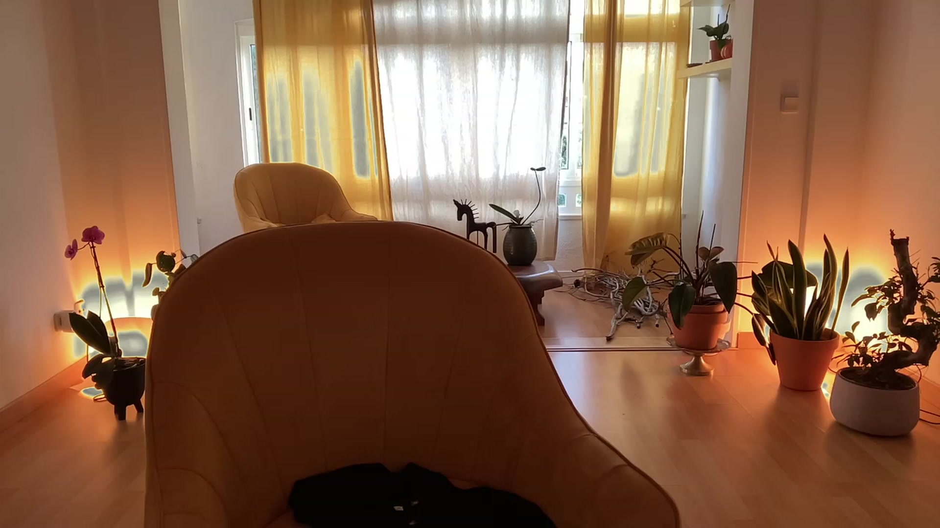 Gallery image thumbnail from Olympia_'s myfreecams stream on, 05/08/2023, 06:31 image 10 of 20