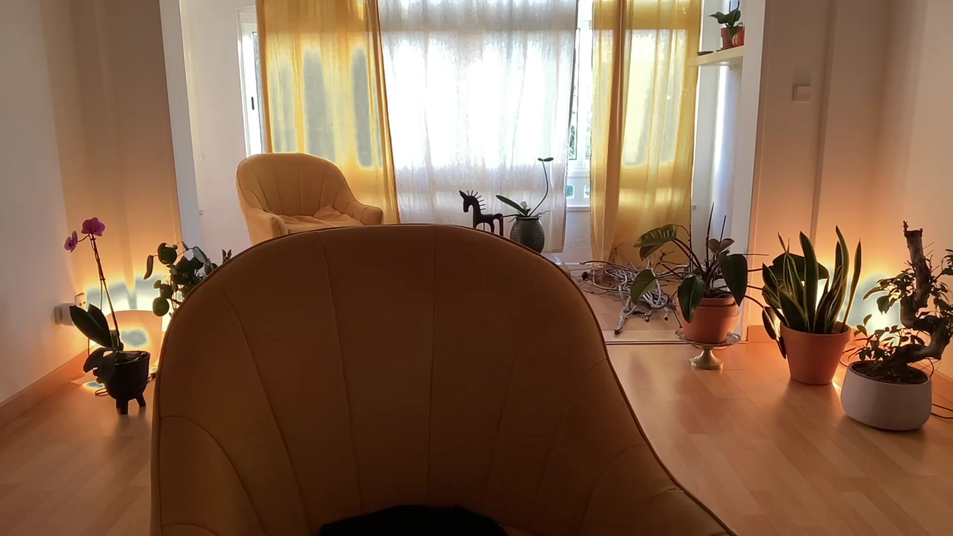 Gallery image thumbnail from Olympia_'s myfreecams stream on, 05/08/2023, 06:31 image 14 of 20