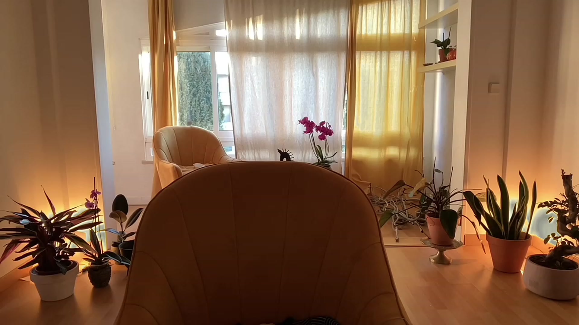 Gallery image thumbnail from Olympia_'s myfreecams stream on, 05/12/2023, 06:13 image 6 of 20