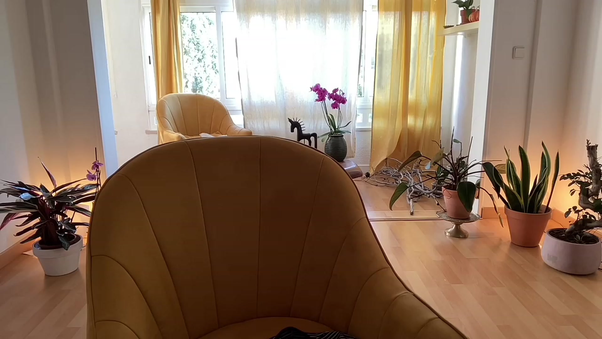 Gallery image thumbnail from Olympia_'s myfreecams stream on, 05/12/2023, 08:02 image 15 of 20