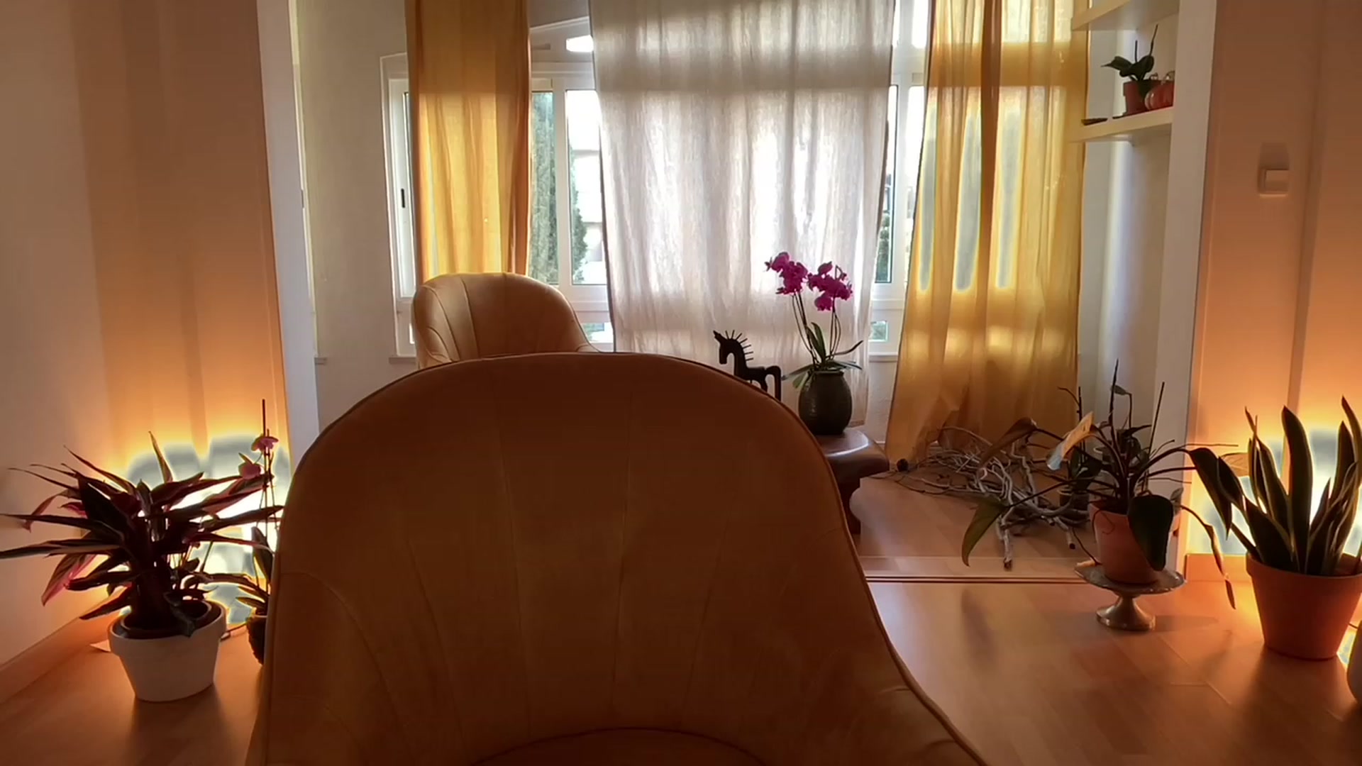 Gallery image thumbnail from Olympia_'s myfreecams stream on, 05/13/2023, 05:58 image 7 of 20