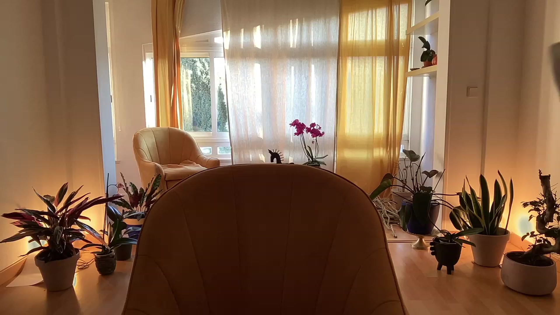 Gallery image thumbnail from Olympia_'s myfreecams stream on, 05/18/2023, 07:38 image 1 of 20