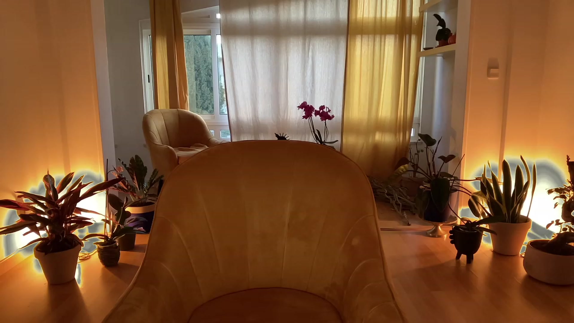 Gallery image thumbnail from Olympia_'s myfreecams stream on, 05/19/2023, 05:32 image 19 of 20