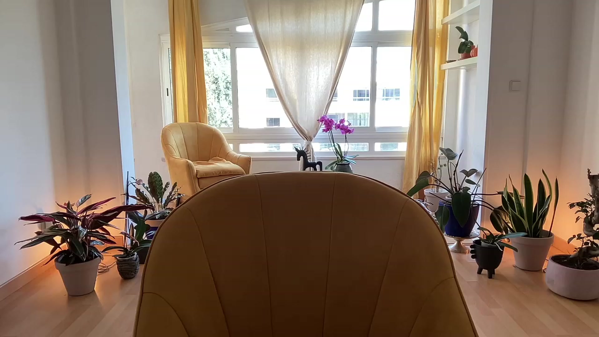Gallery image thumbnail from Olympia_'s myfreecams stream on, 05/19/2023, 11:25 image 2 of 20