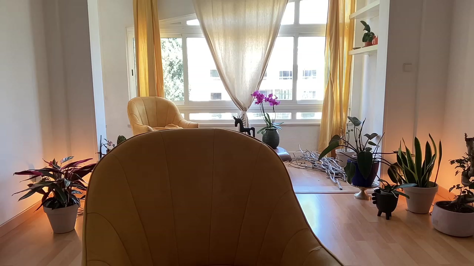 Gallery image thumbnail from Olympia_'s myfreecams stream on, 05/19/2023, 12:10 image 19 of 20