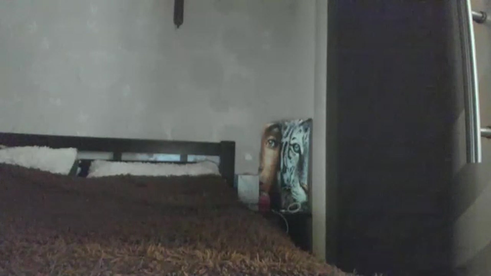 Gallery image thumbnail from Onekiss1's myfreecams stream on, 01/30/2023, 07:00 image 13 of 20