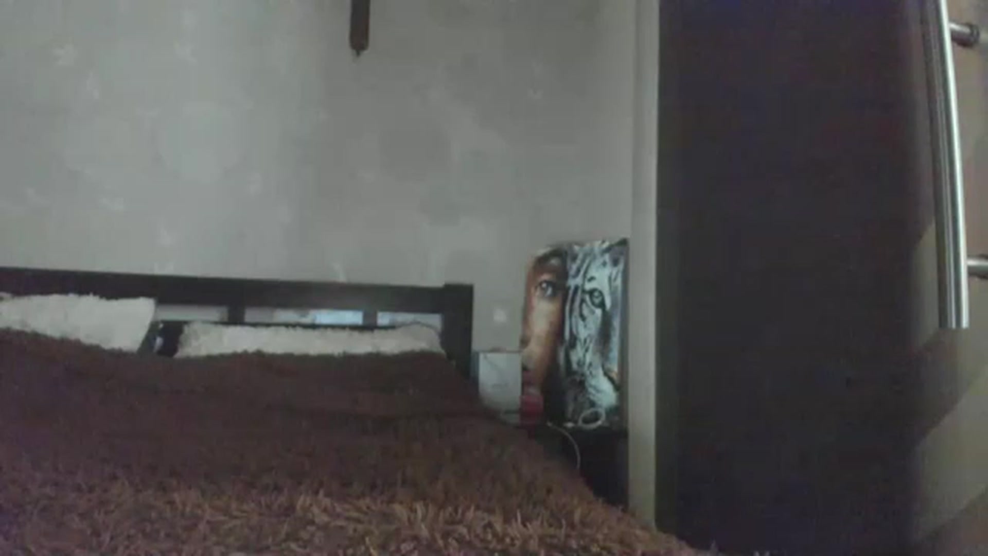 Gallery image thumbnail from Onekiss1's myfreecams stream on, 01/30/2023, 07:00 image 12 of 20