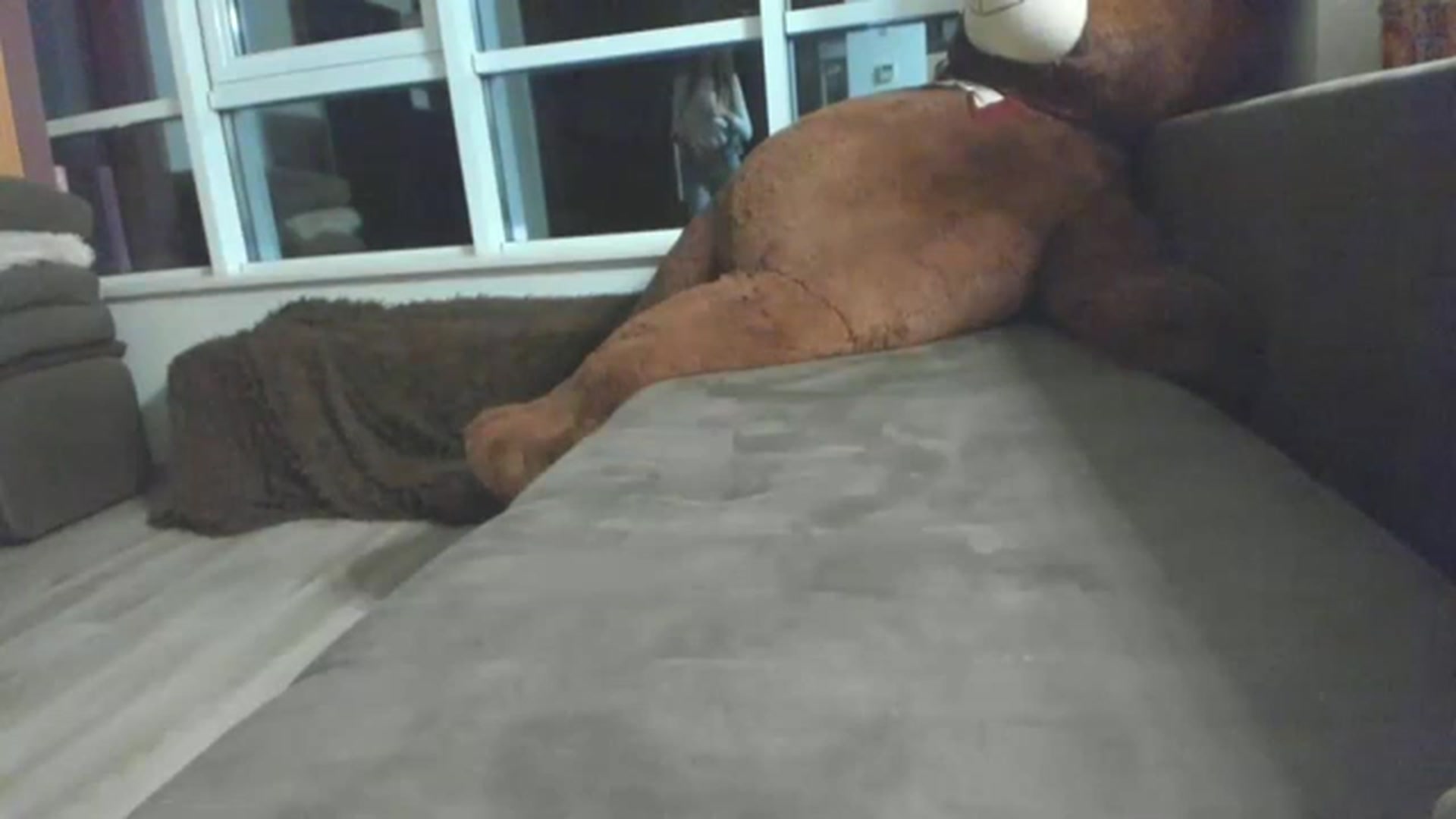 Gallery image thumbnail from Onekiss1's myfreecams stream on, 03/10/2023, 17:58 image 5 of 20