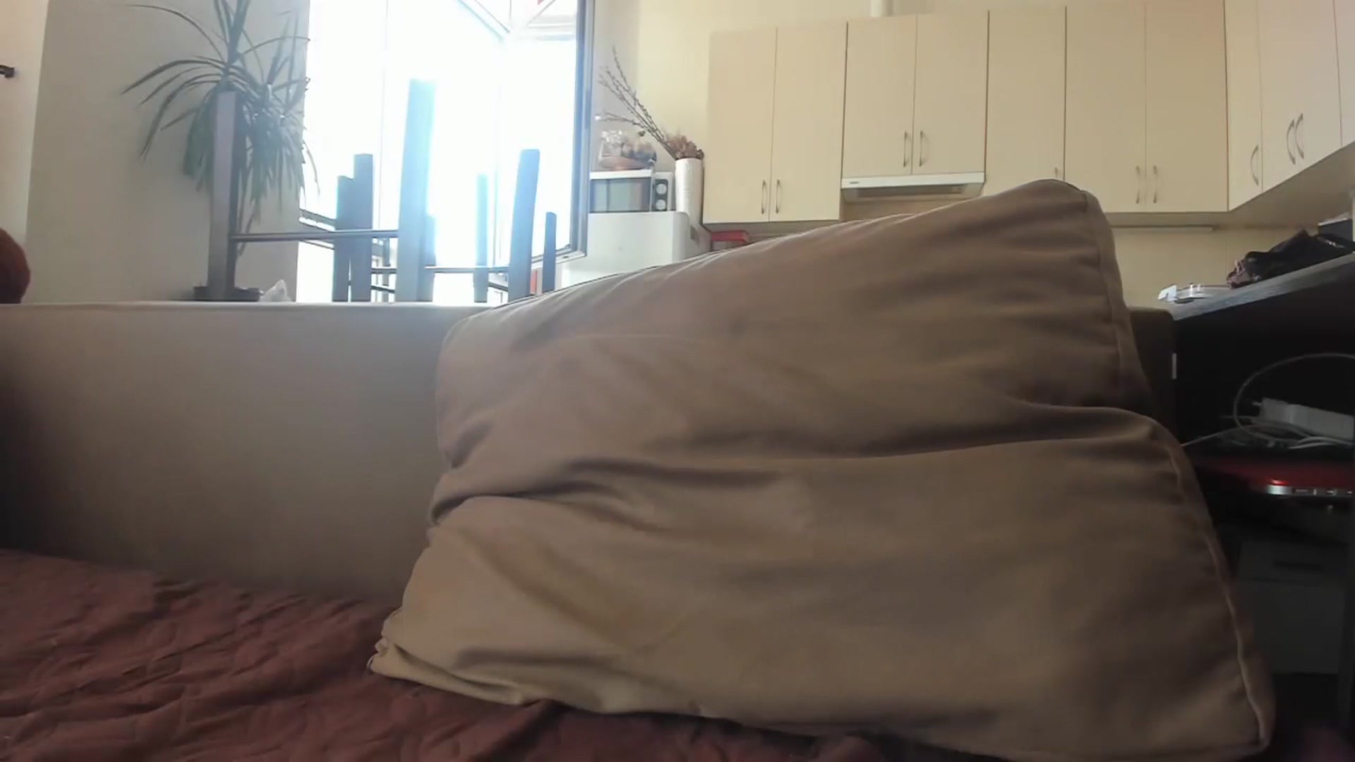 Gallery image thumbnail from Onekiss1's myfreecams stream on, 07/06/2023, 09:41 image 20 of 20