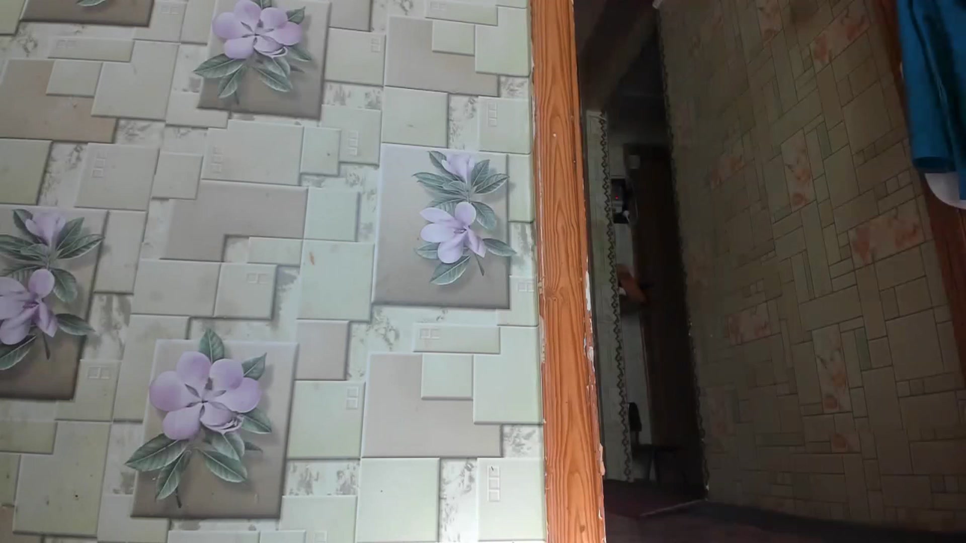 Gallery image thumbnail from Onekiss1's myfreecams stream on, 07/31/2023, 06:17 image 11 of 20