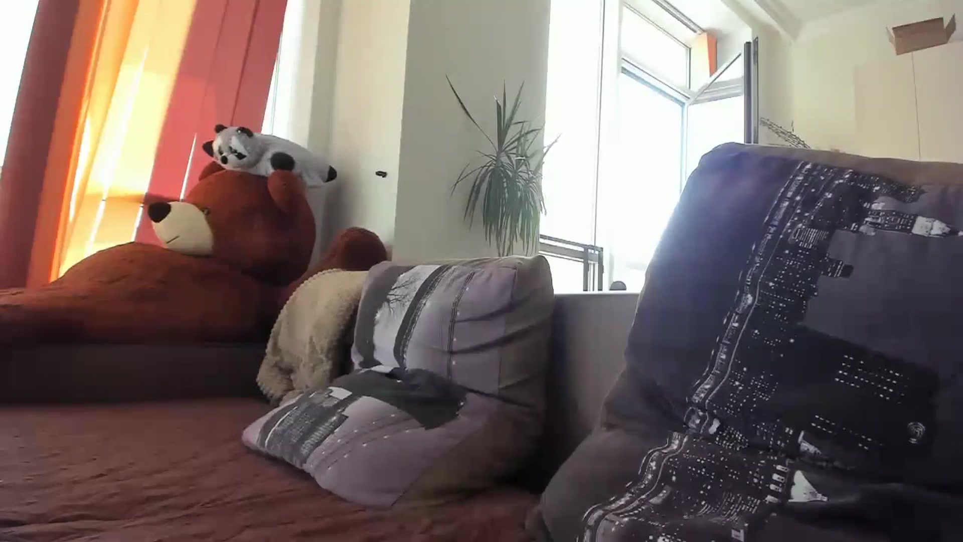 Gallery image thumbnail from Onekiss1's myfreecams stream on, 08/31/2023, 08:22 image 3 of 20