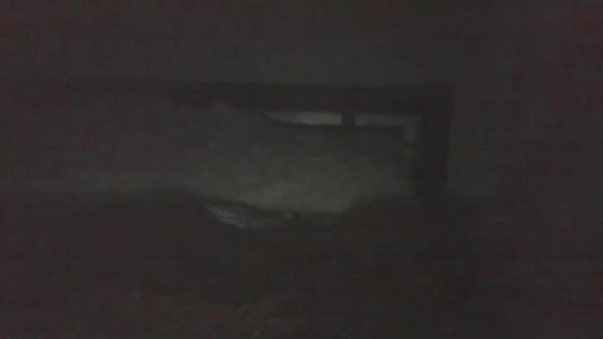 Gallery image thumbnail from Onekiss1's myfreecams stream on, 10/19/2023, 17:50 image 4 of 20